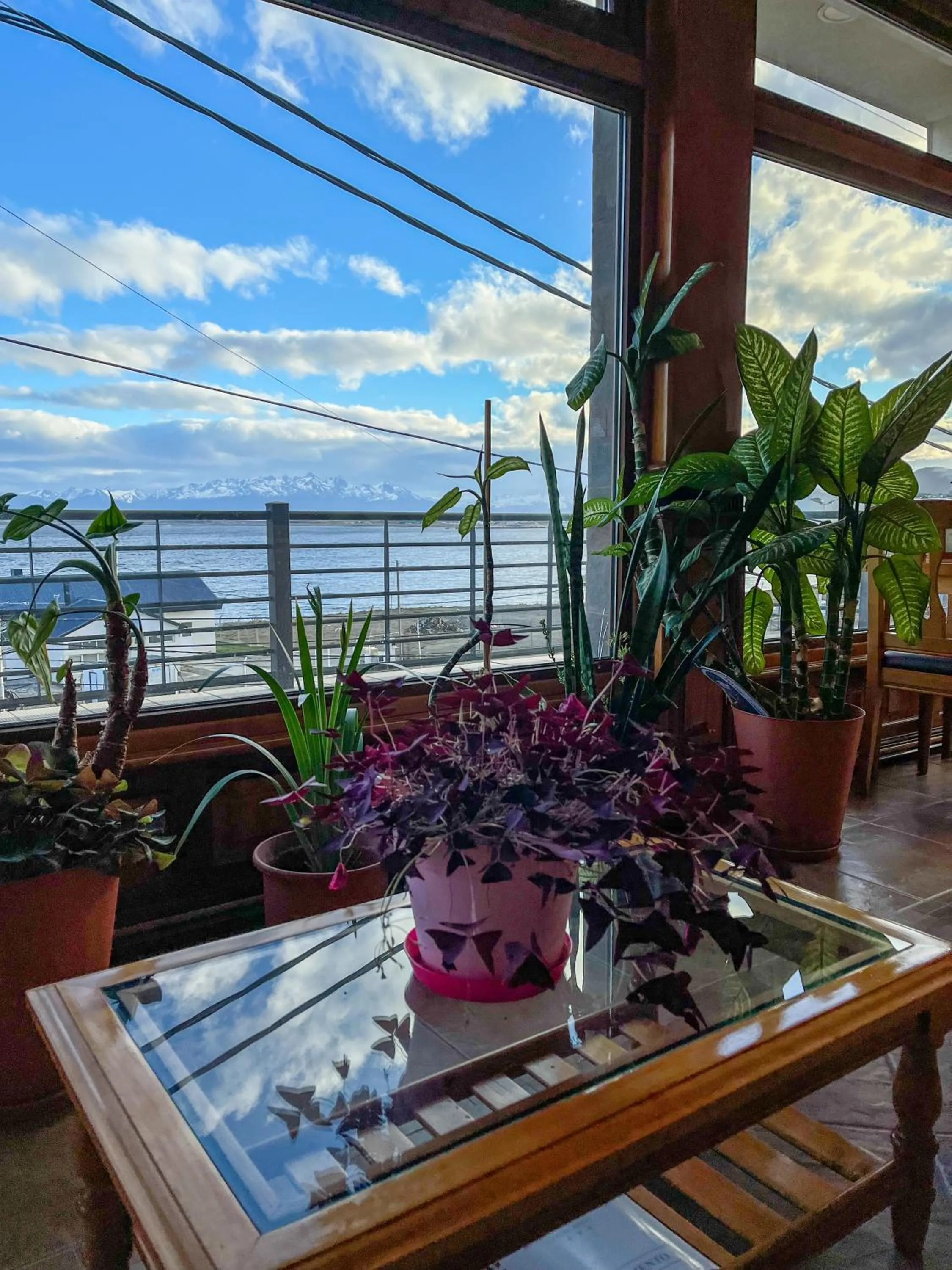 Day in Balcones del Beagle Apart