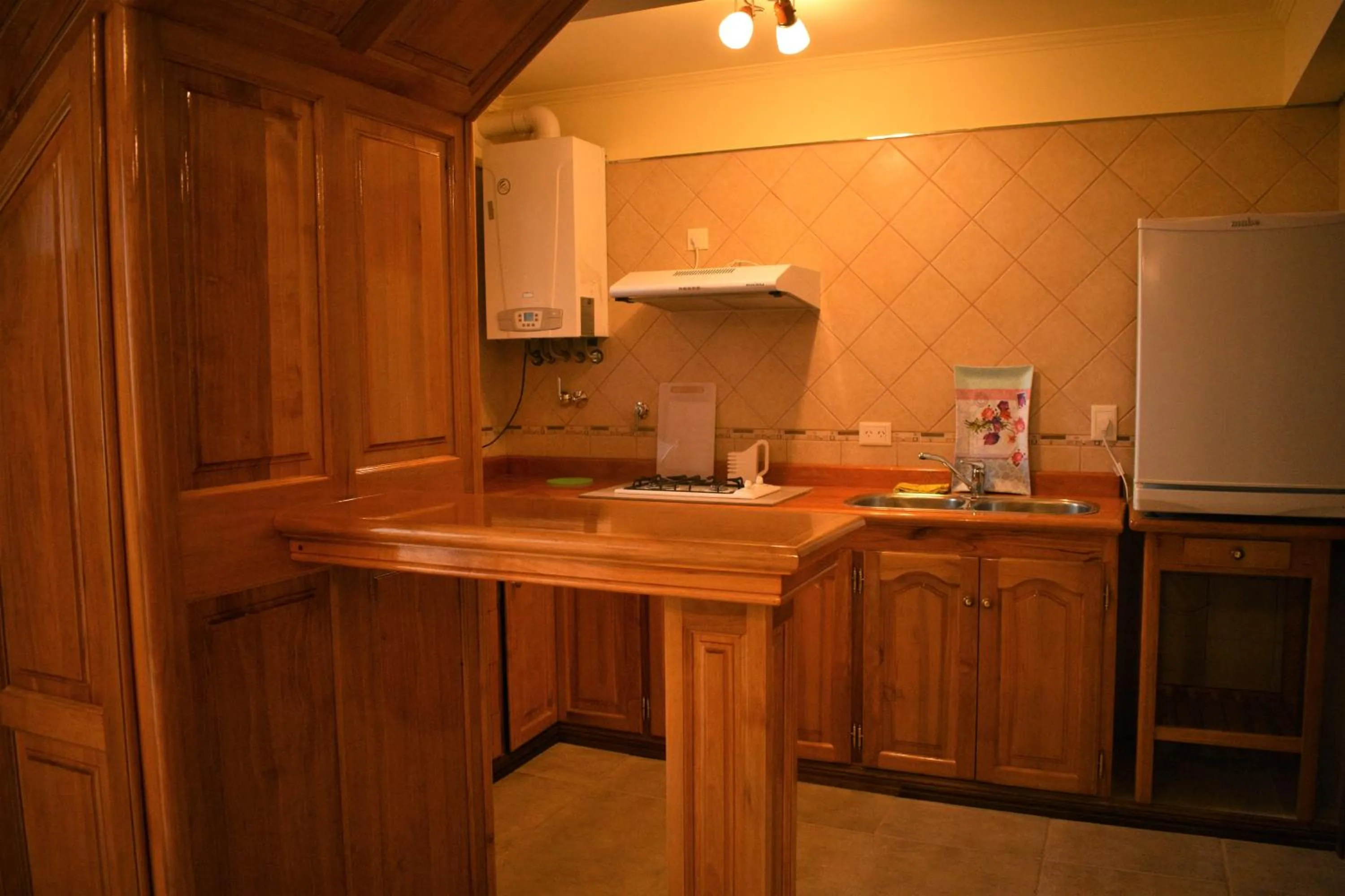 Kitchen or kitchenette in Balcones del Beagle Apart