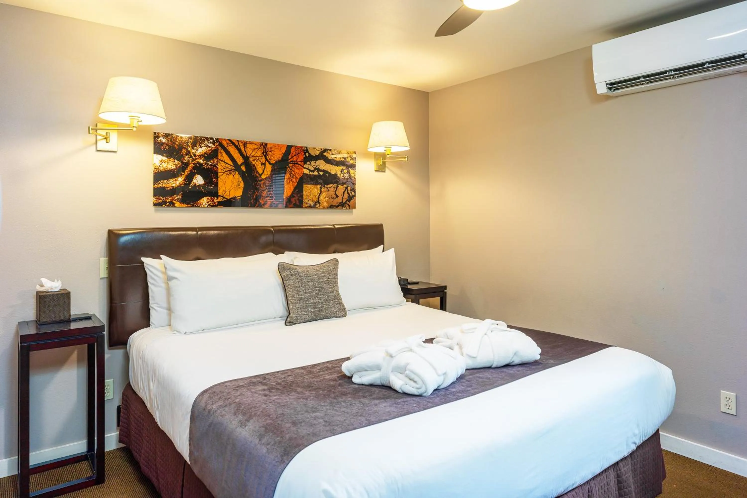 air conditioner, Bed in Bird Rock Hotel