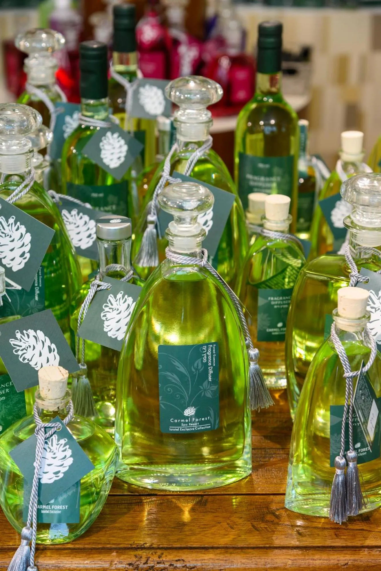 On-site shops in Carmel Forest by Isrotel Exclusive