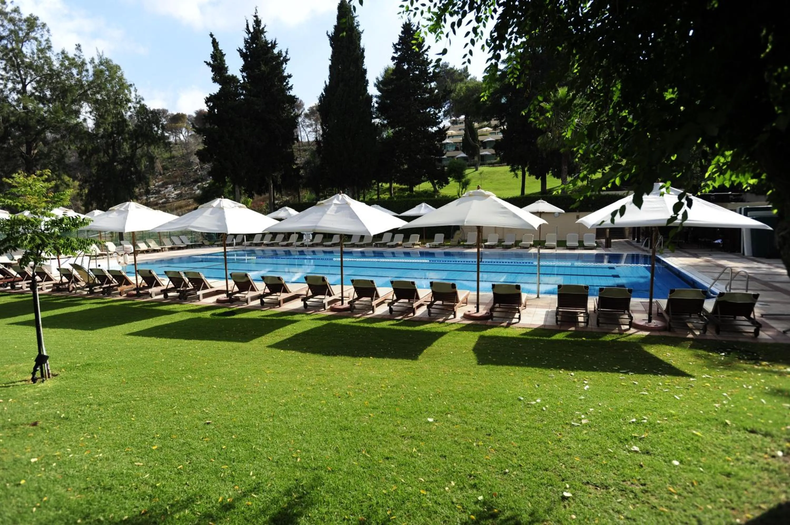 Swimming pool in Carmel Forest by Isrotel Exclusive