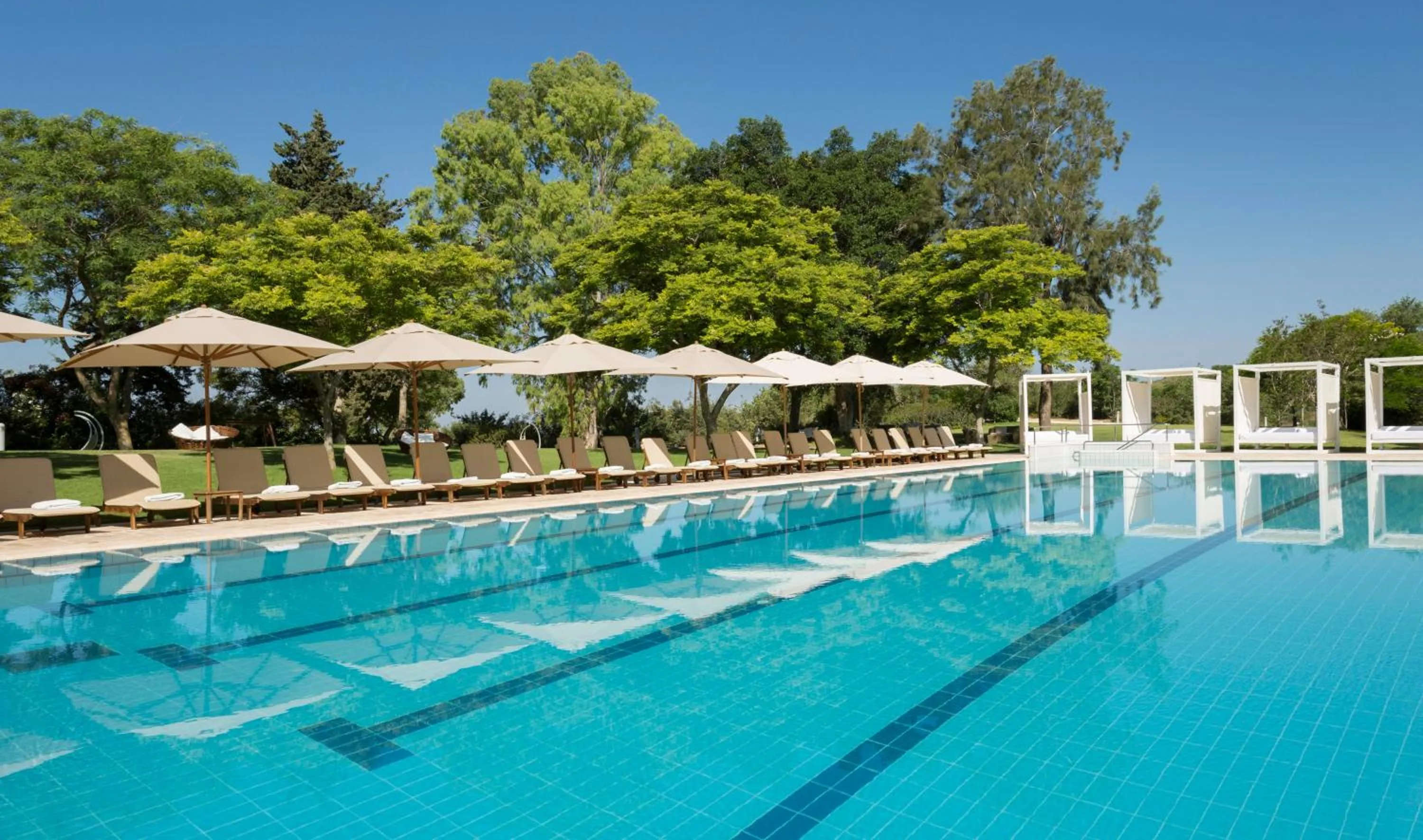 Swimming pool in Carmel Forest by Isrotel Exclusive