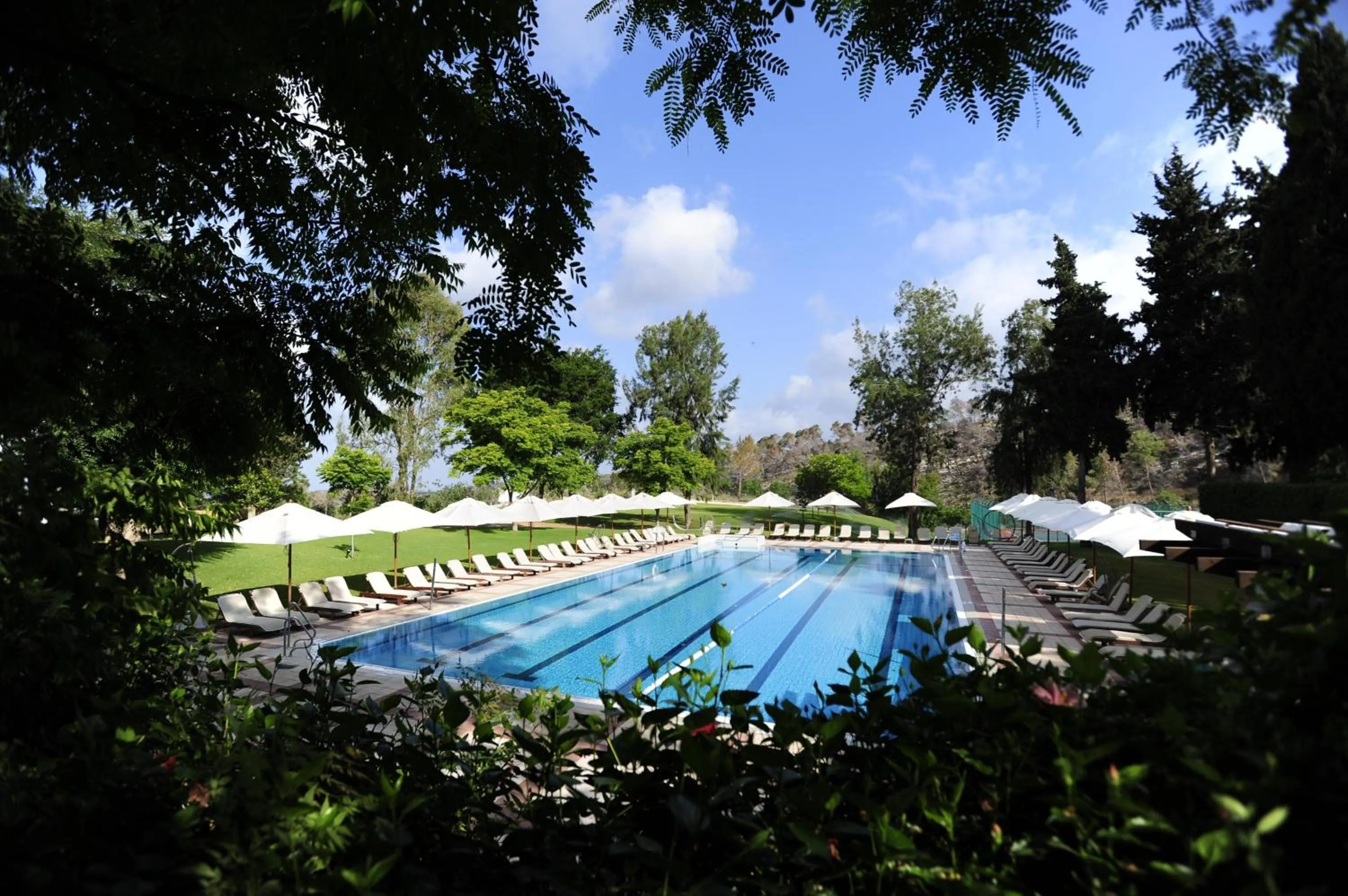 Swimming pool in Carmel Forest by Isrotel Exclusive
