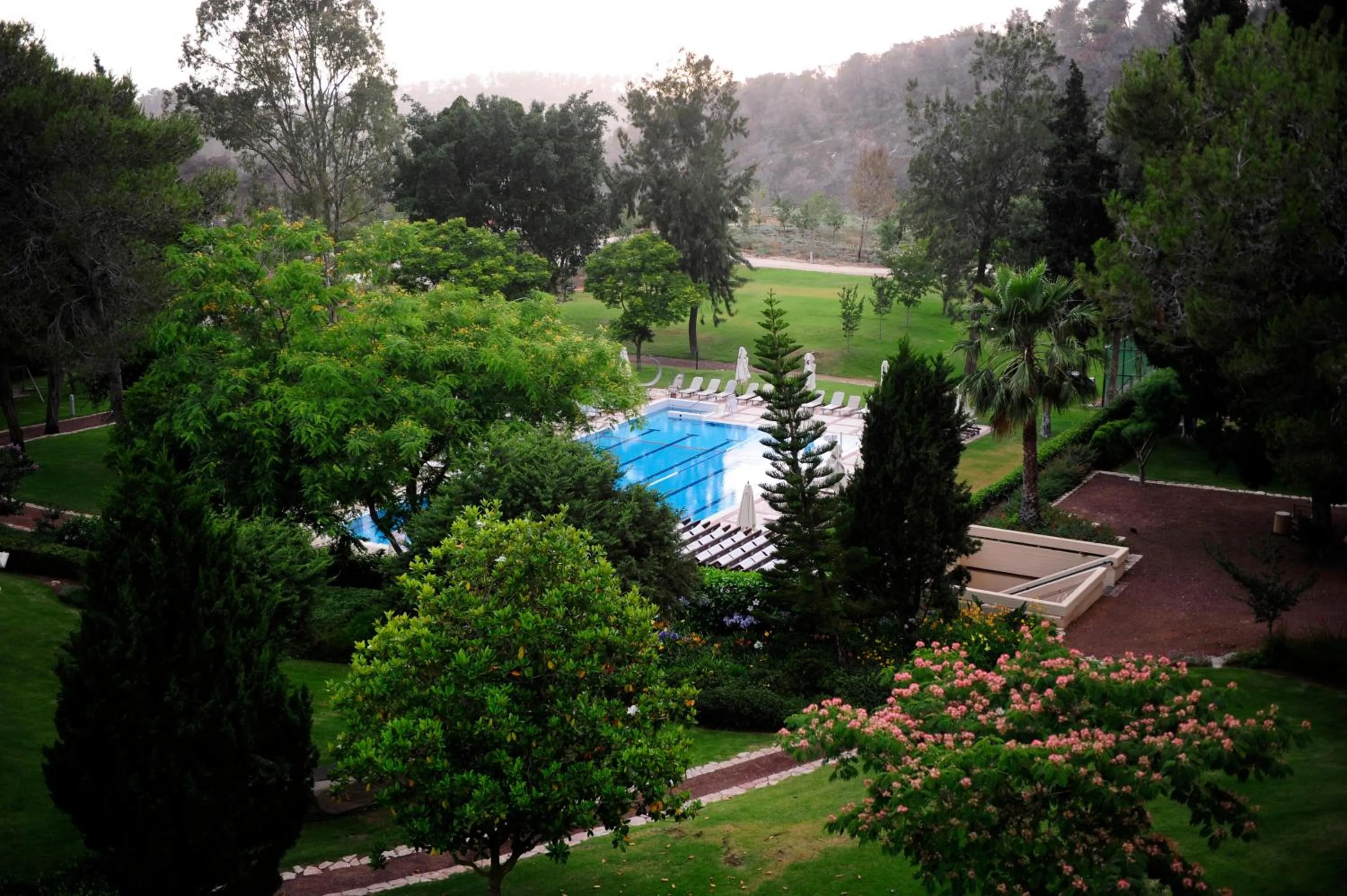 Swimming pool in Carmel Forest by Isrotel Exclusive