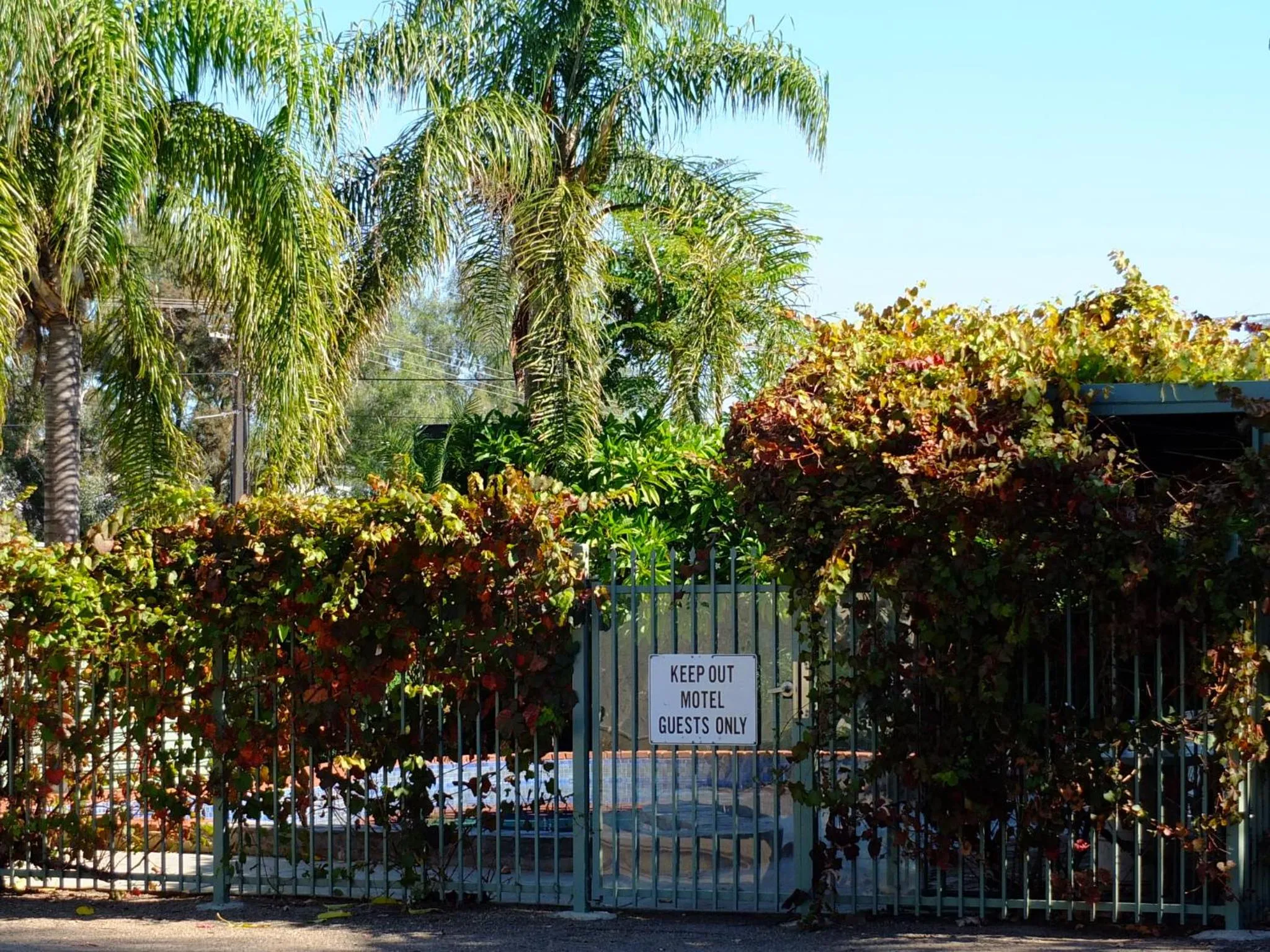 Spring in Travelway Motel