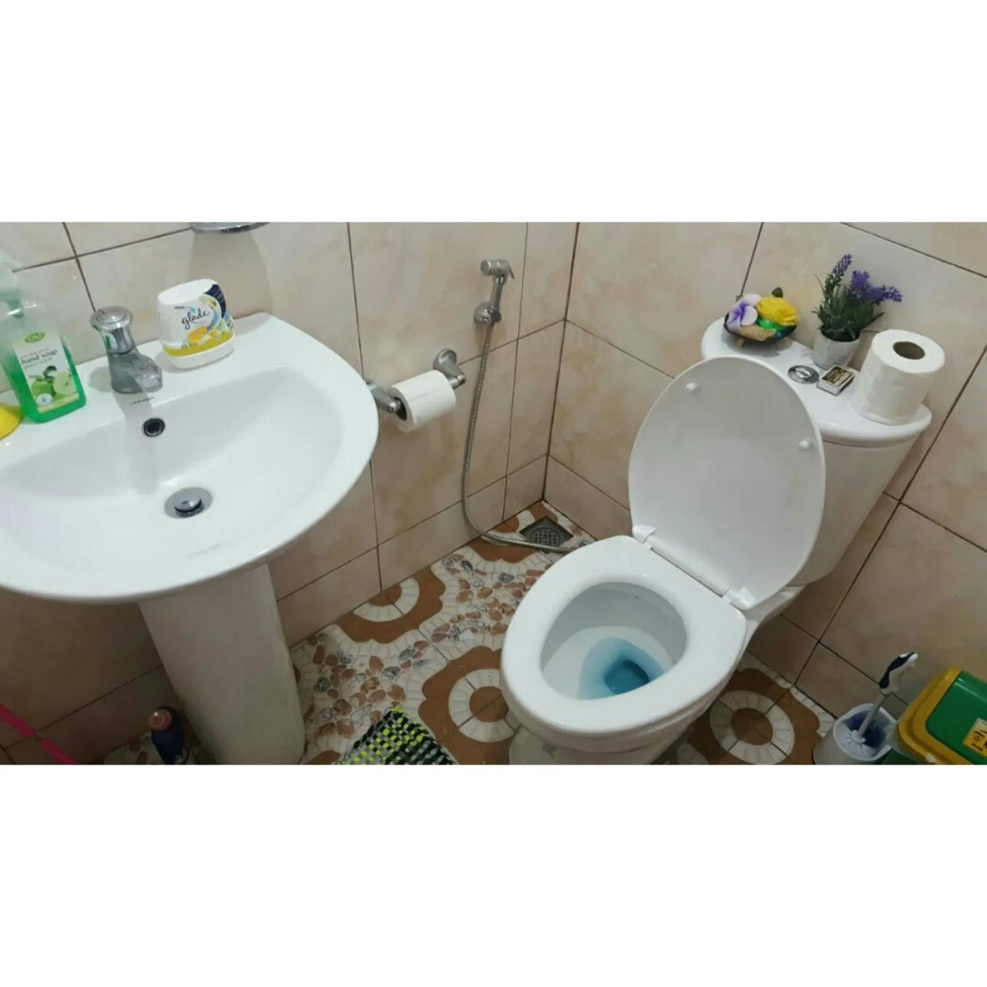 Toilet in Island Girl Bed and Breakfast