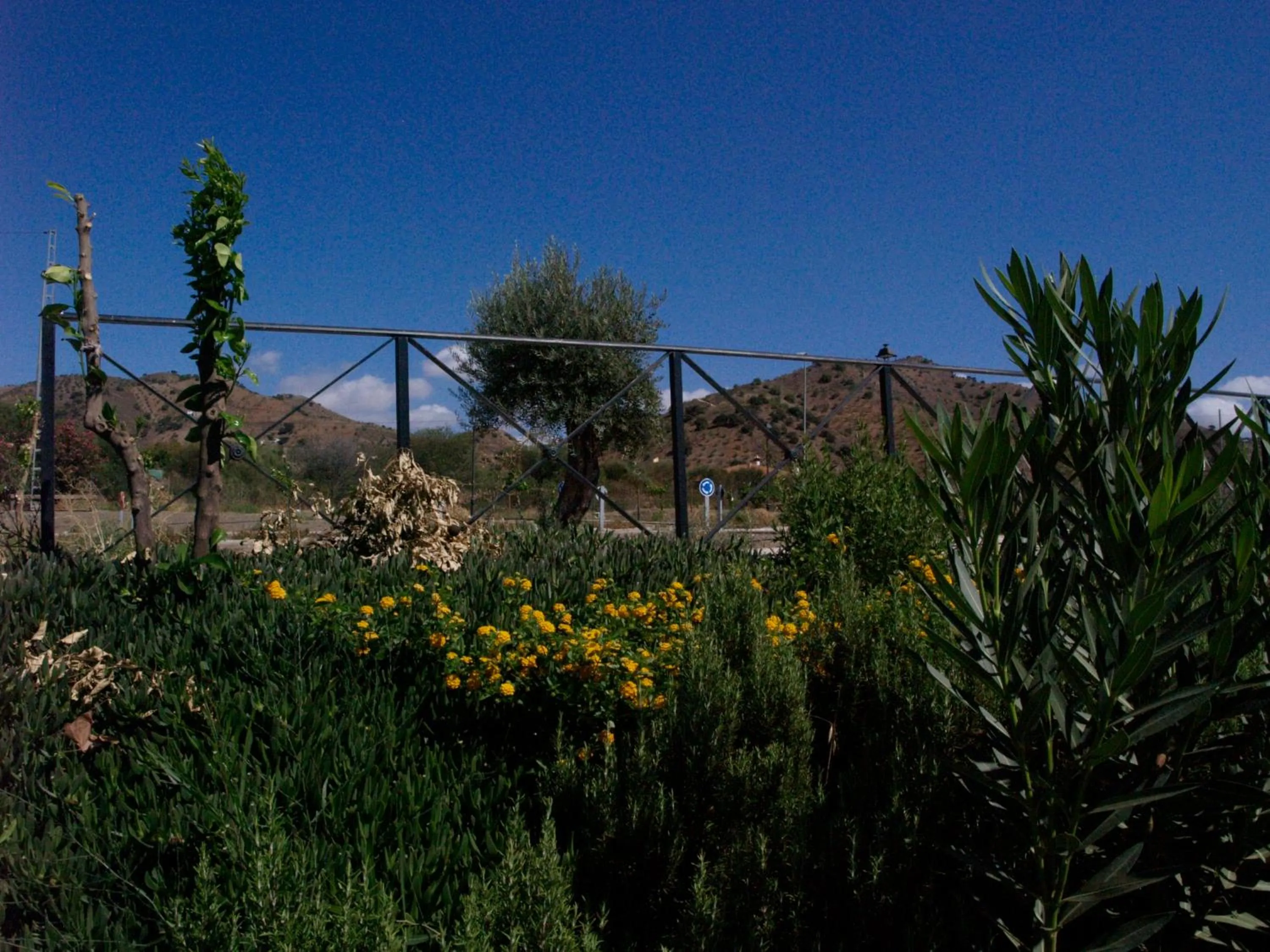 Natural landscape in Hostal la Molina