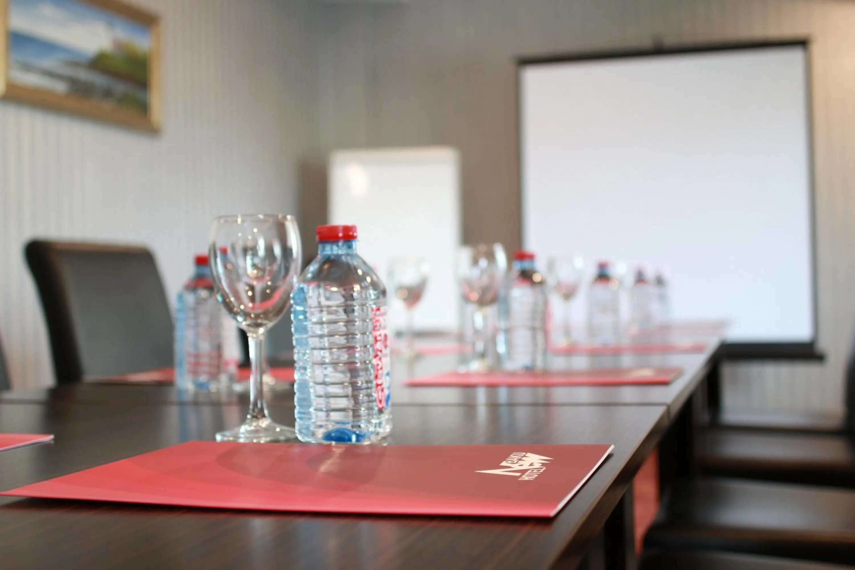 Meeting/conference room in New Baku Hotel