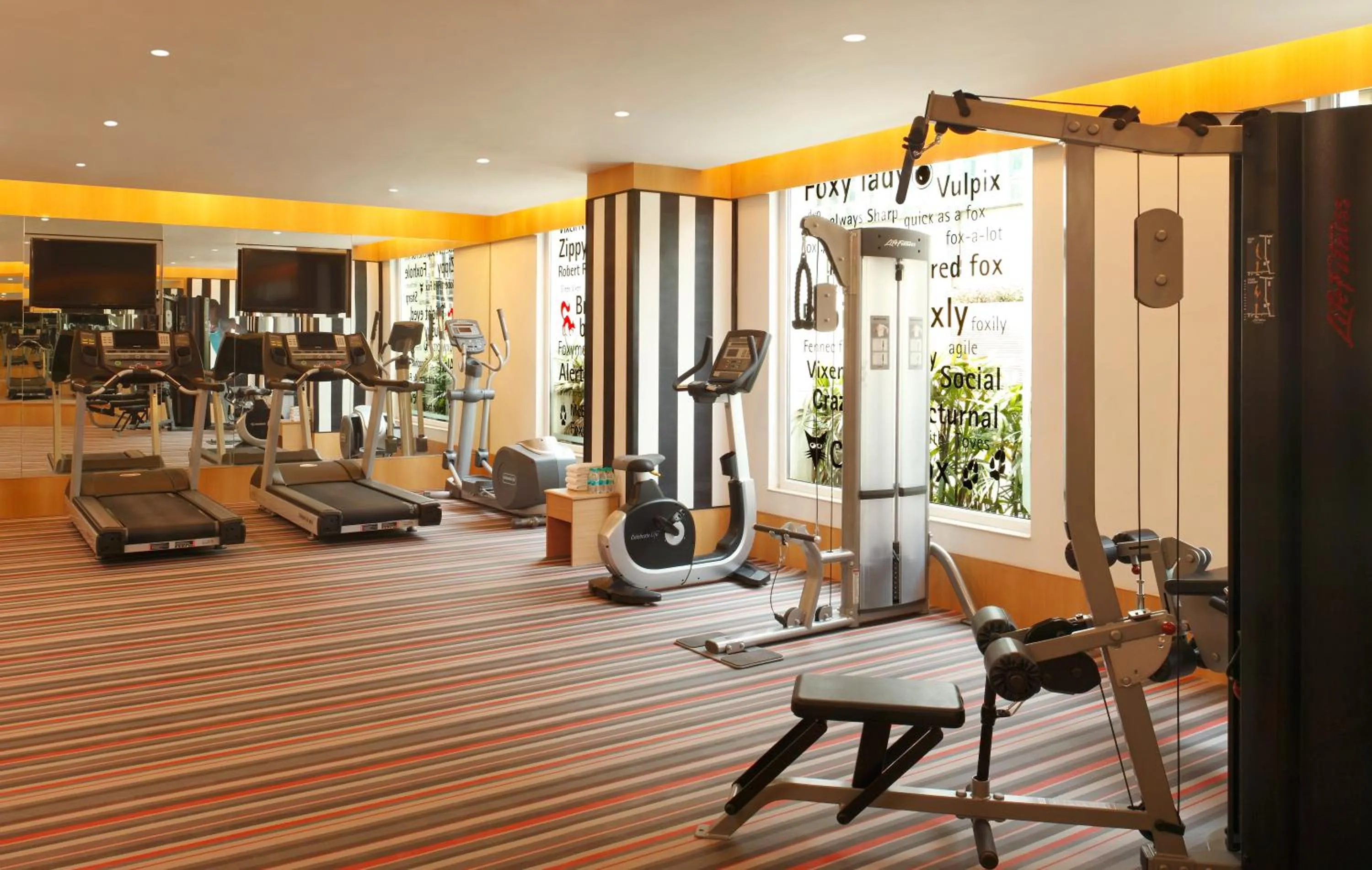 Fitness centre/facilities in Red Fox by Lemon Tree Hotels, Delhi Airport