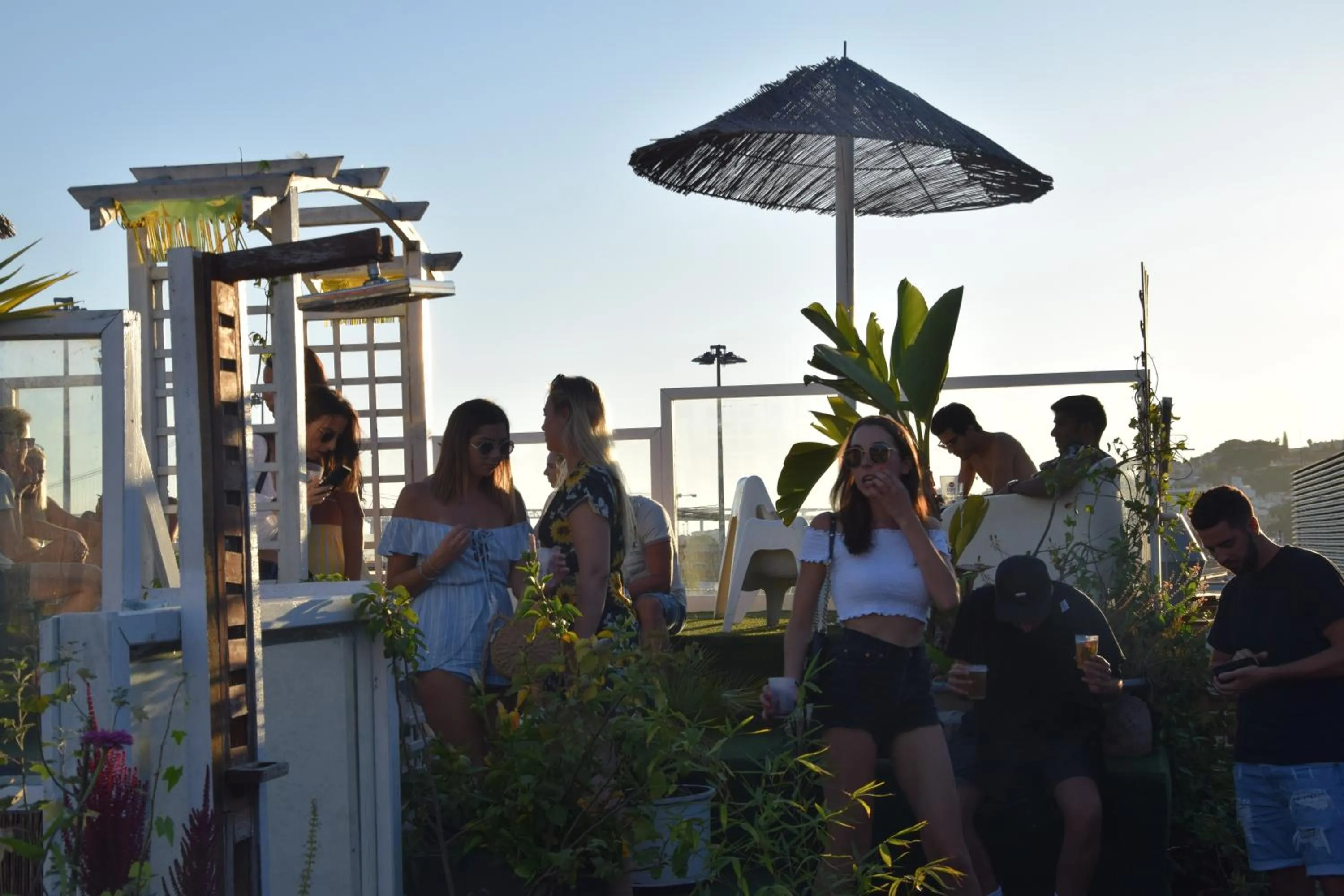 Garden in Sunset Destination Hostel