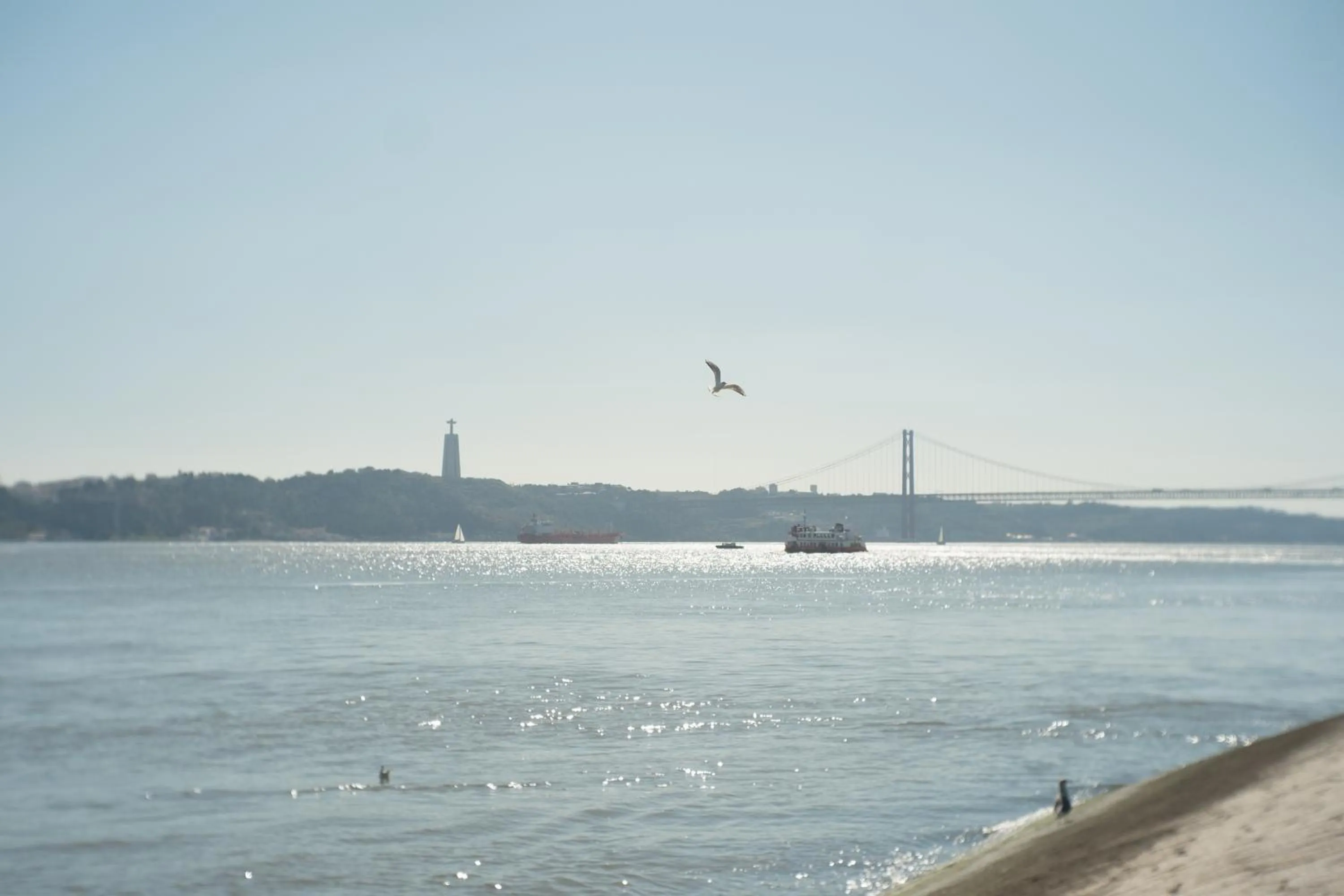 Day in Sunset Destination Hostel