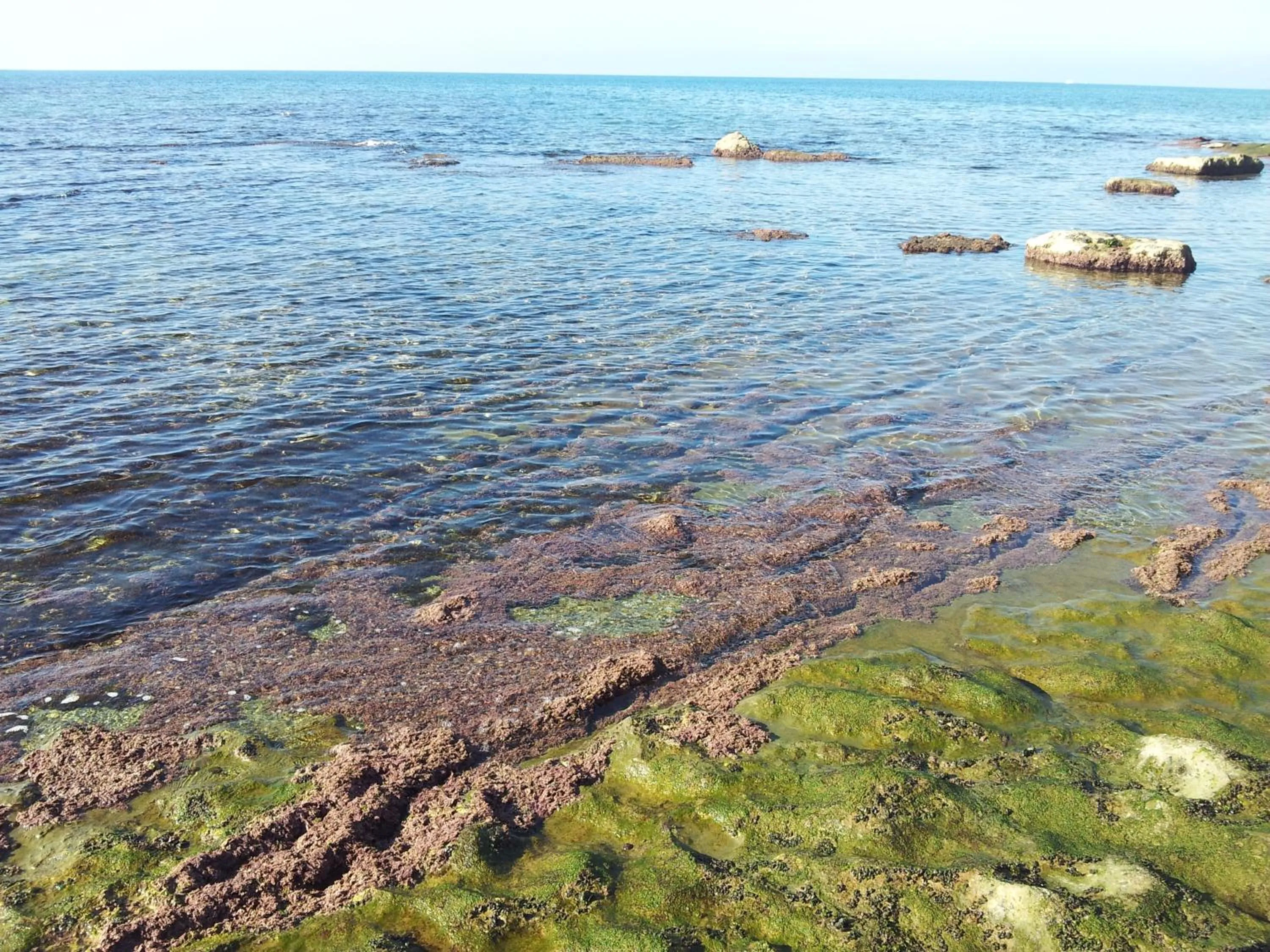 Diving in Le Ninfe Bed and Breakfast