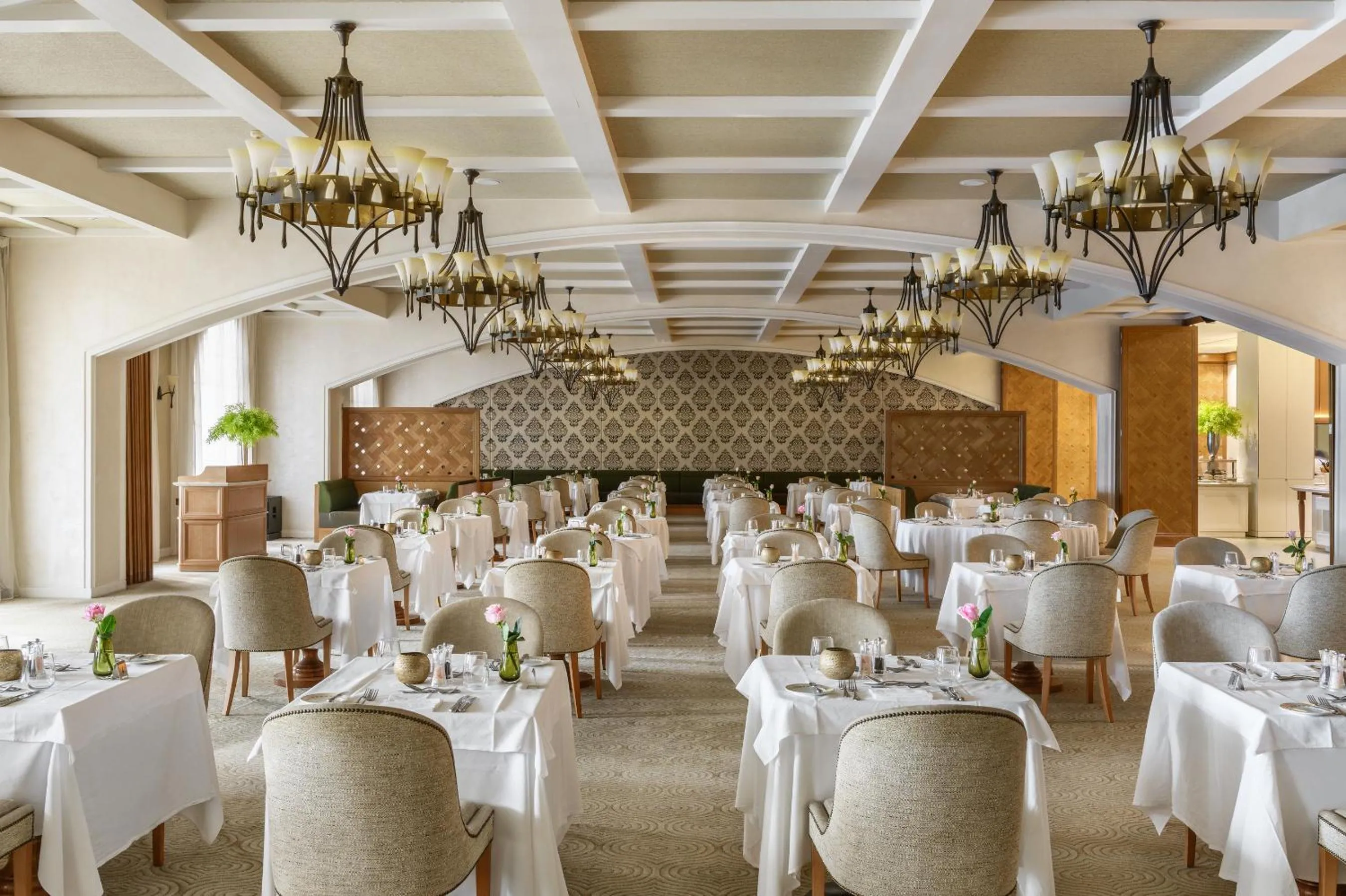 Restaurant/places to eat in Elysium