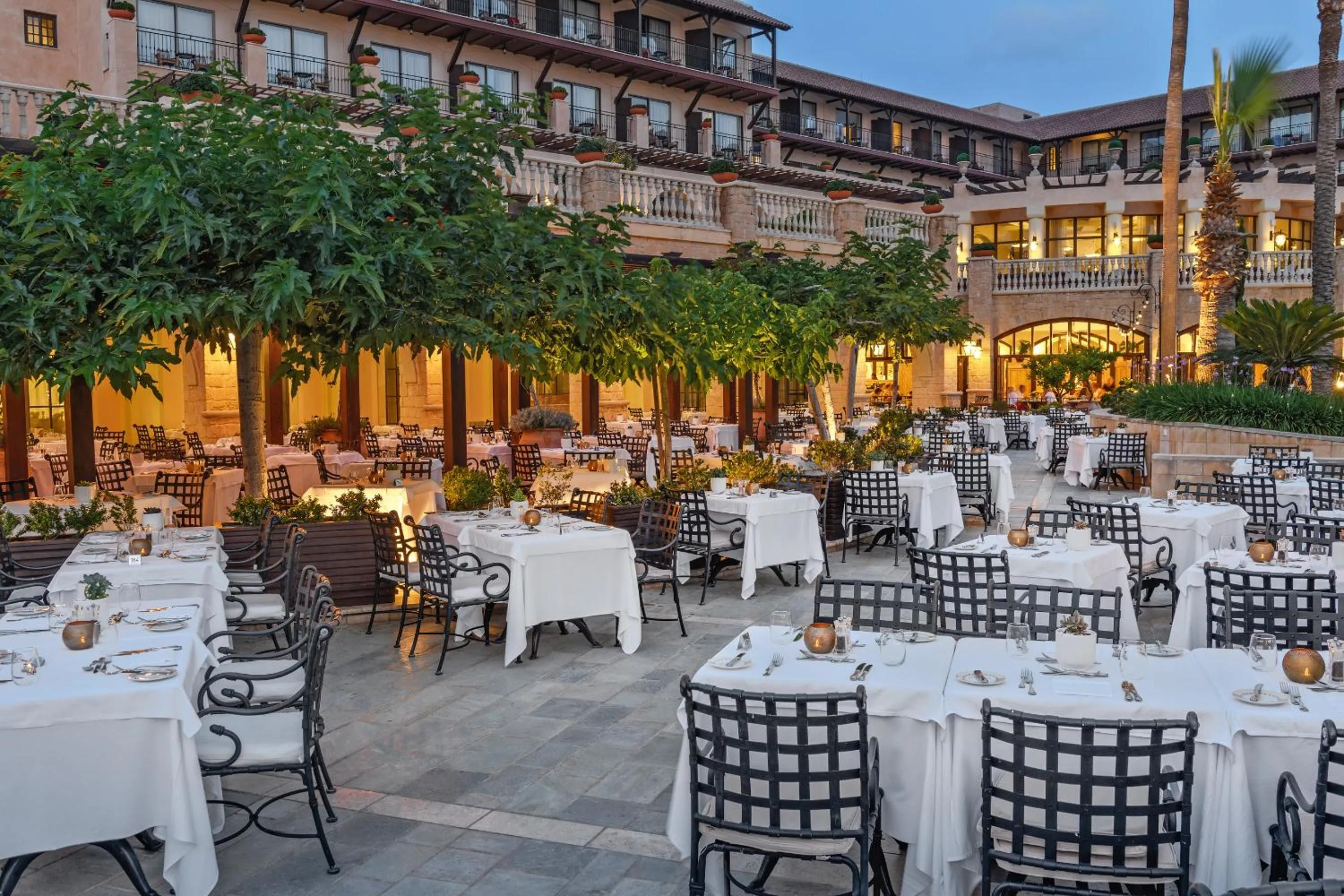 Restaurant/places to eat in Elysium