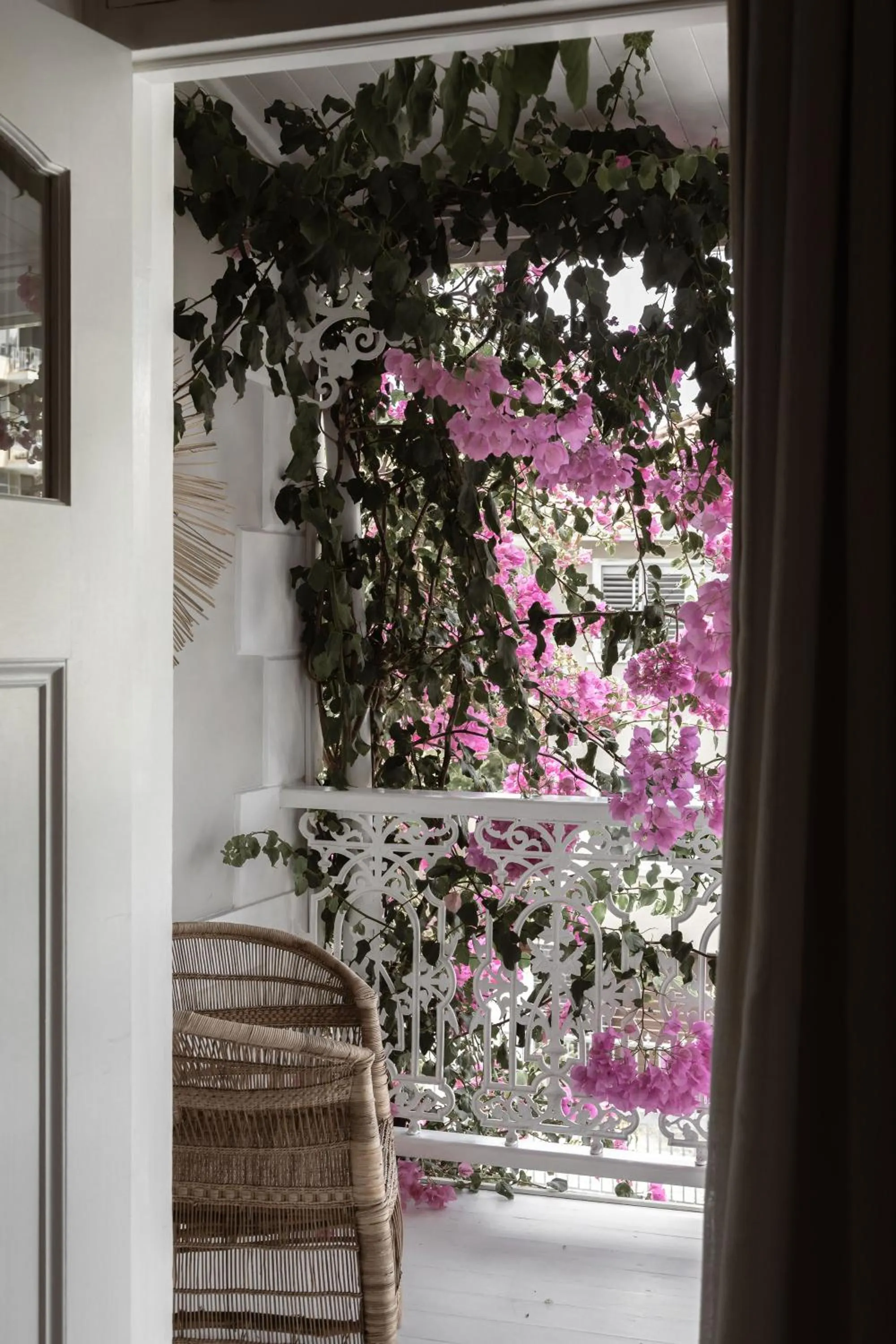 Balcony/Terrace in NOAH House