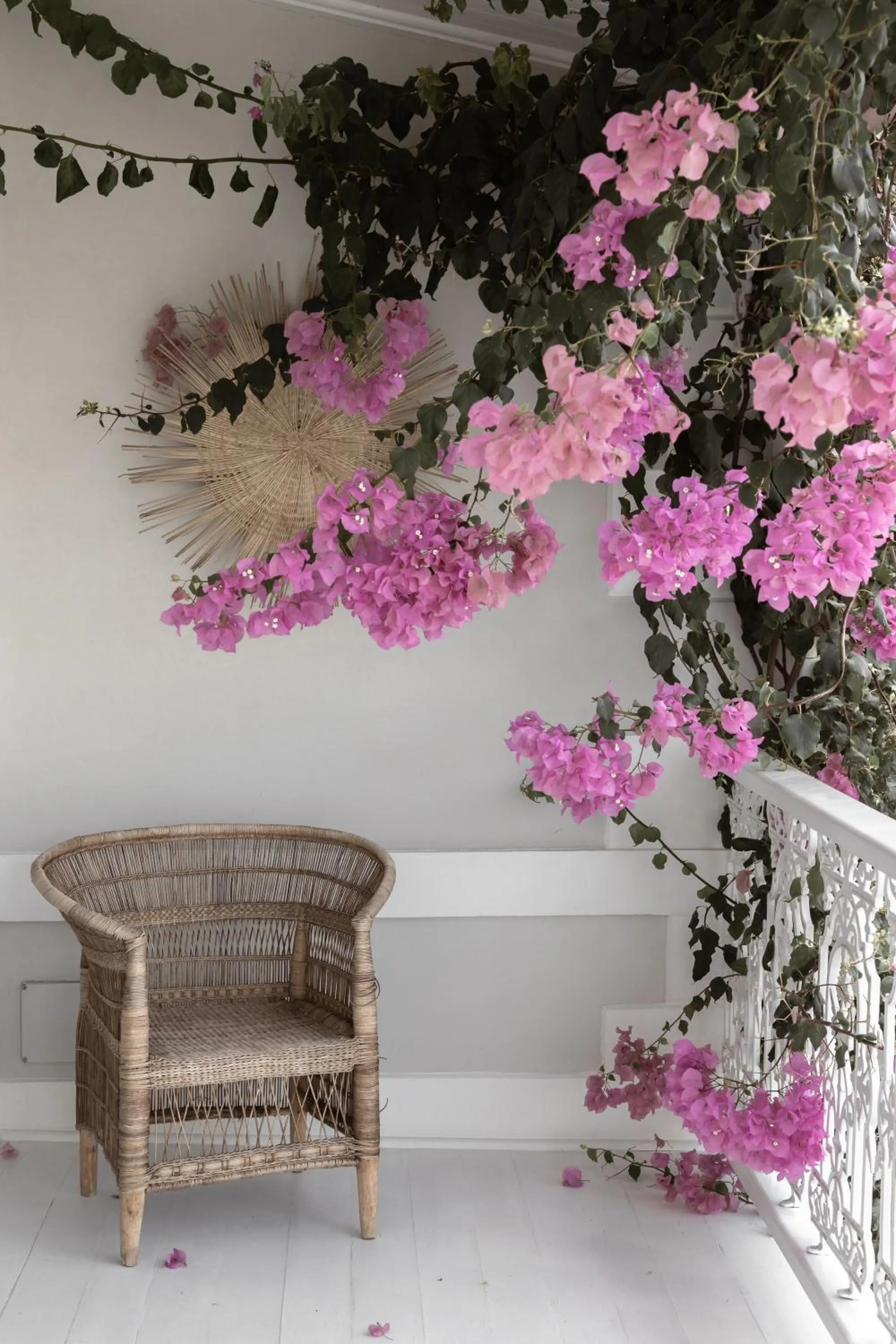 Balcony/Terrace in NOAH House
