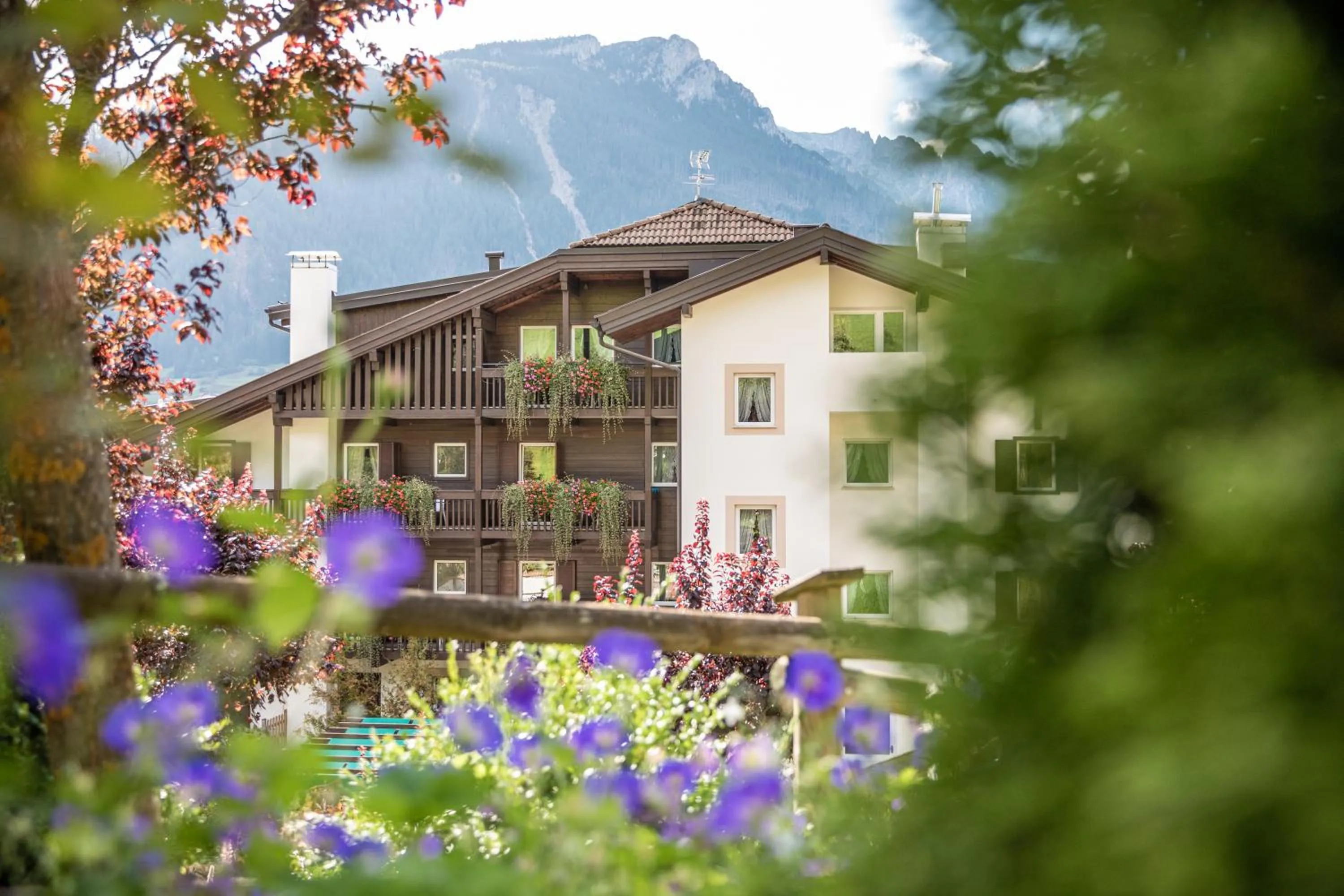 Property building in Belvedere Dolomites Flower Hotel