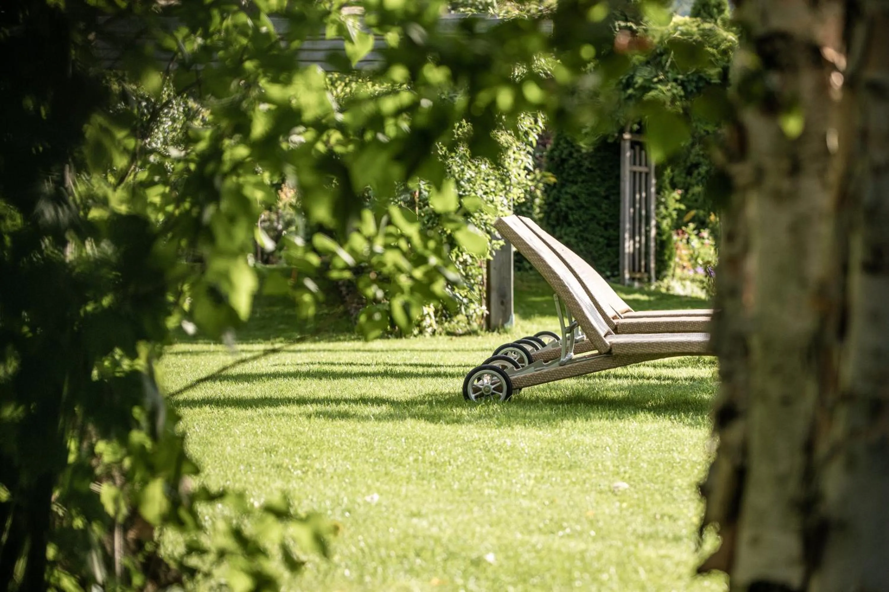 Day in Belvedere Dolomites Flower Hotel