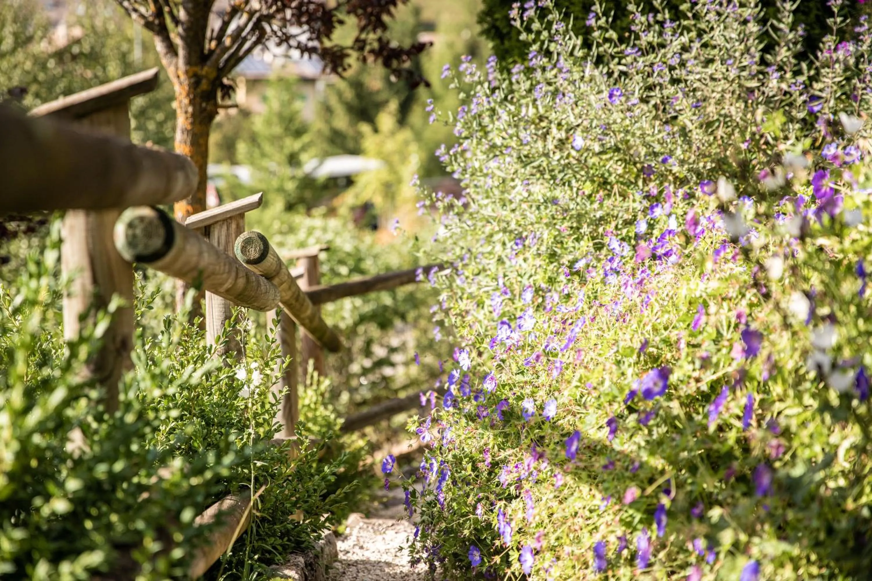 Belvedere Dolomites Flower Hotel