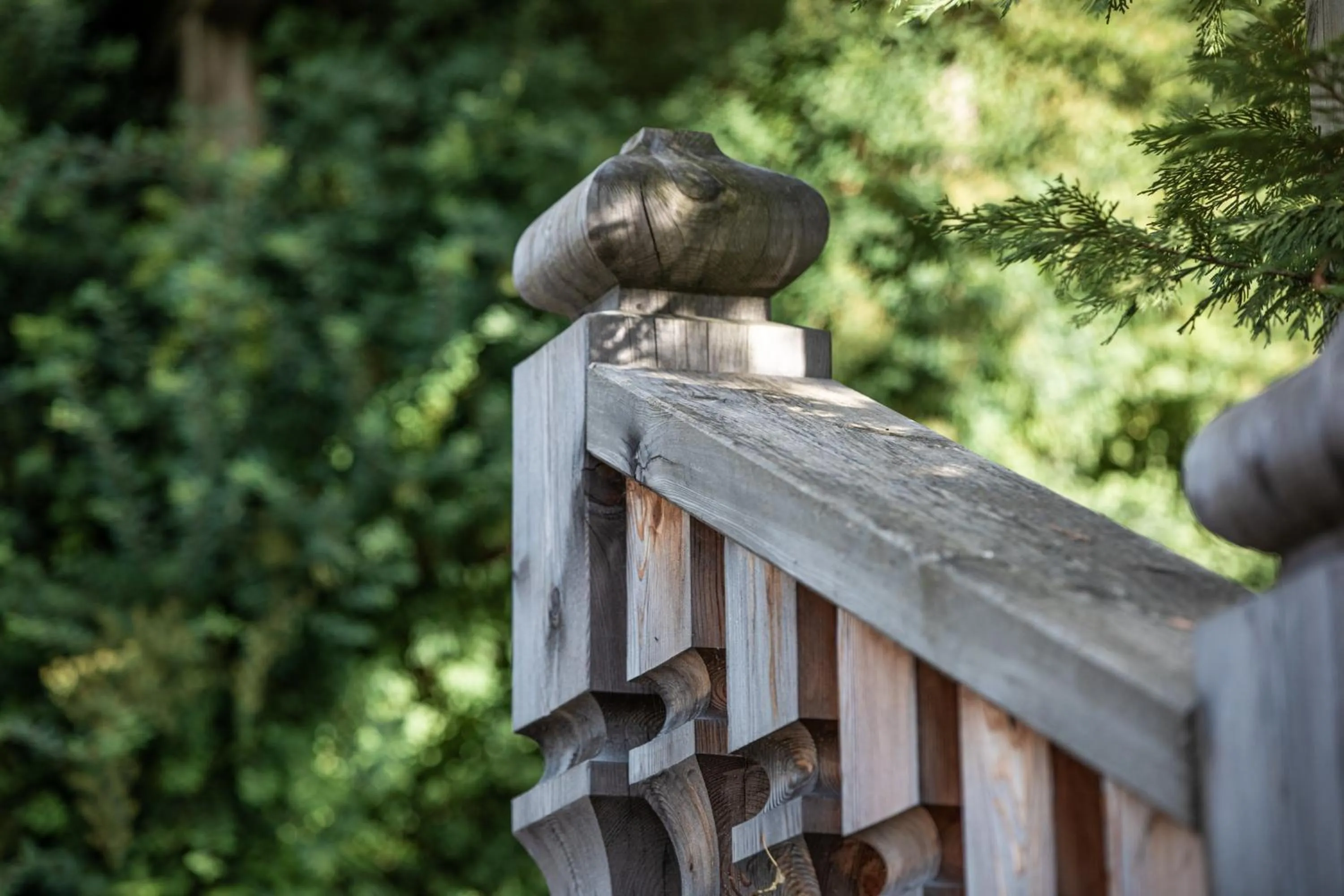 Day in Belvedere Dolomites Flower Hotel