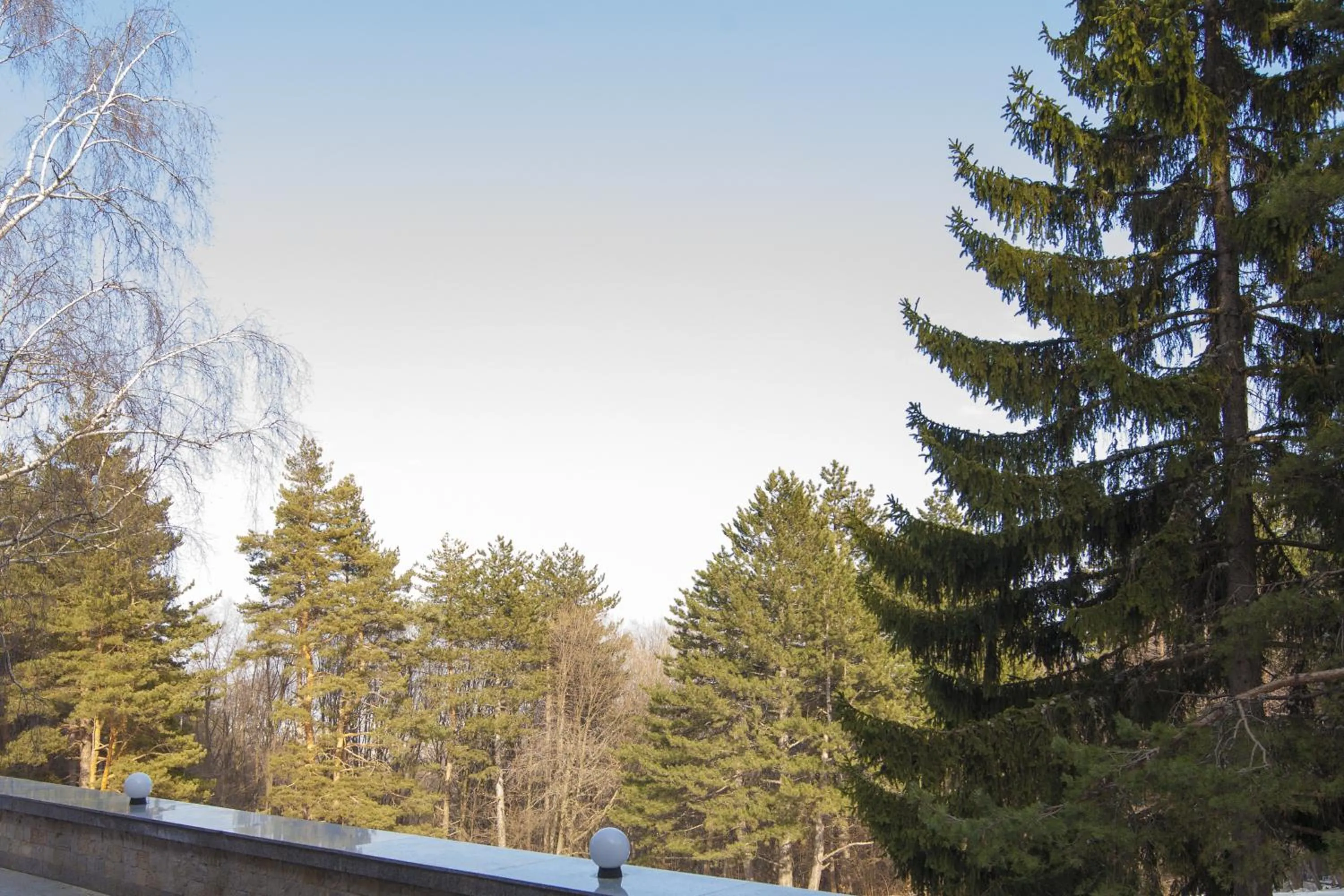 Restaurant/places to eat in Family Hotel Saint George