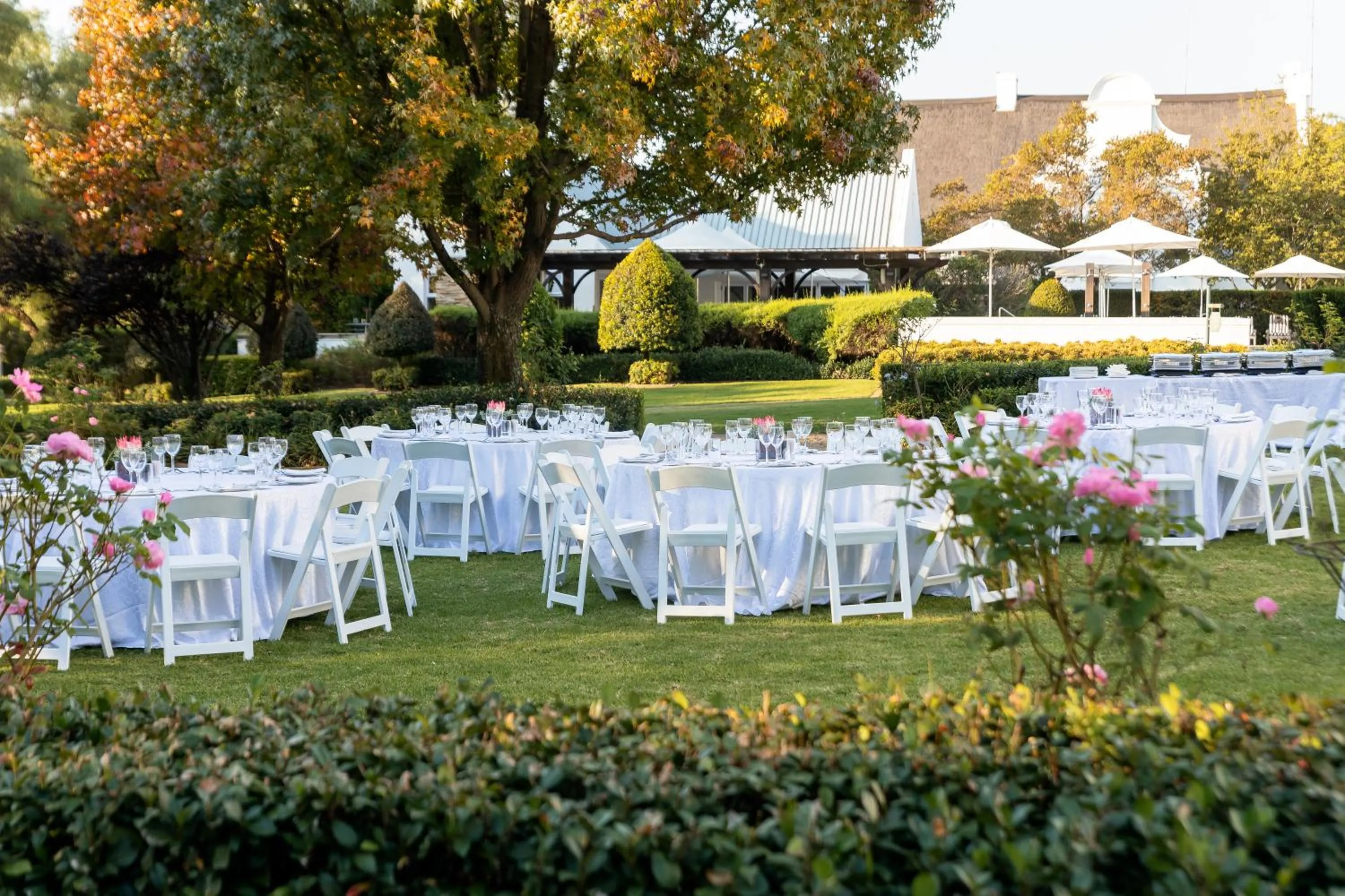 Day in Kievits Kroon Gauteng Wine Estate