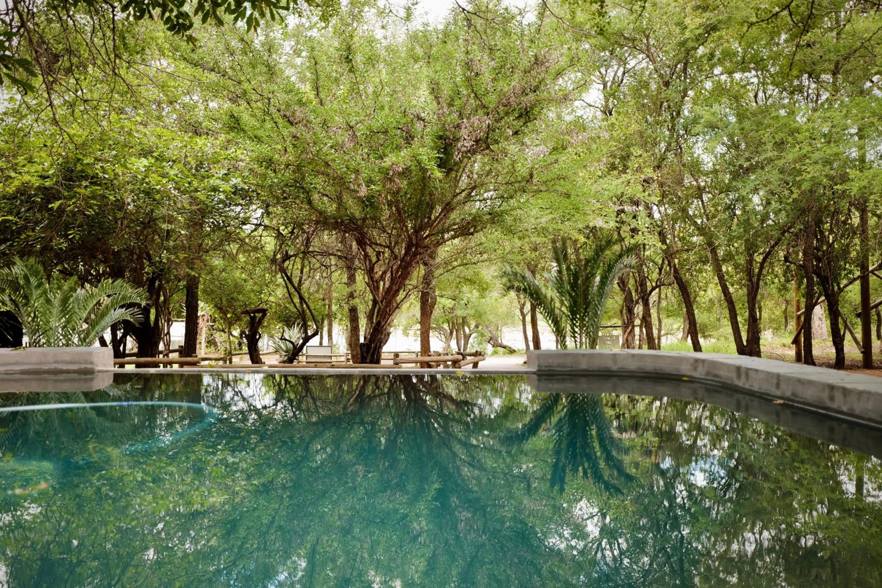 Swimming pool in Hyenas Call