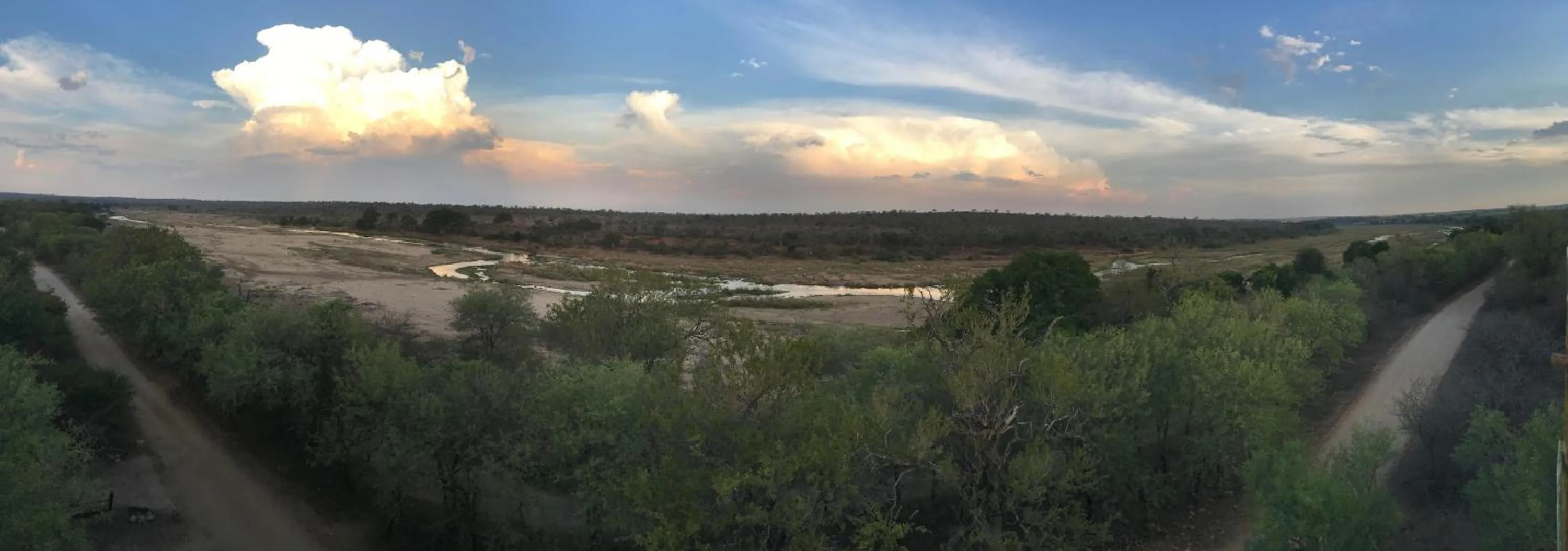 Garden in Hyenas Call