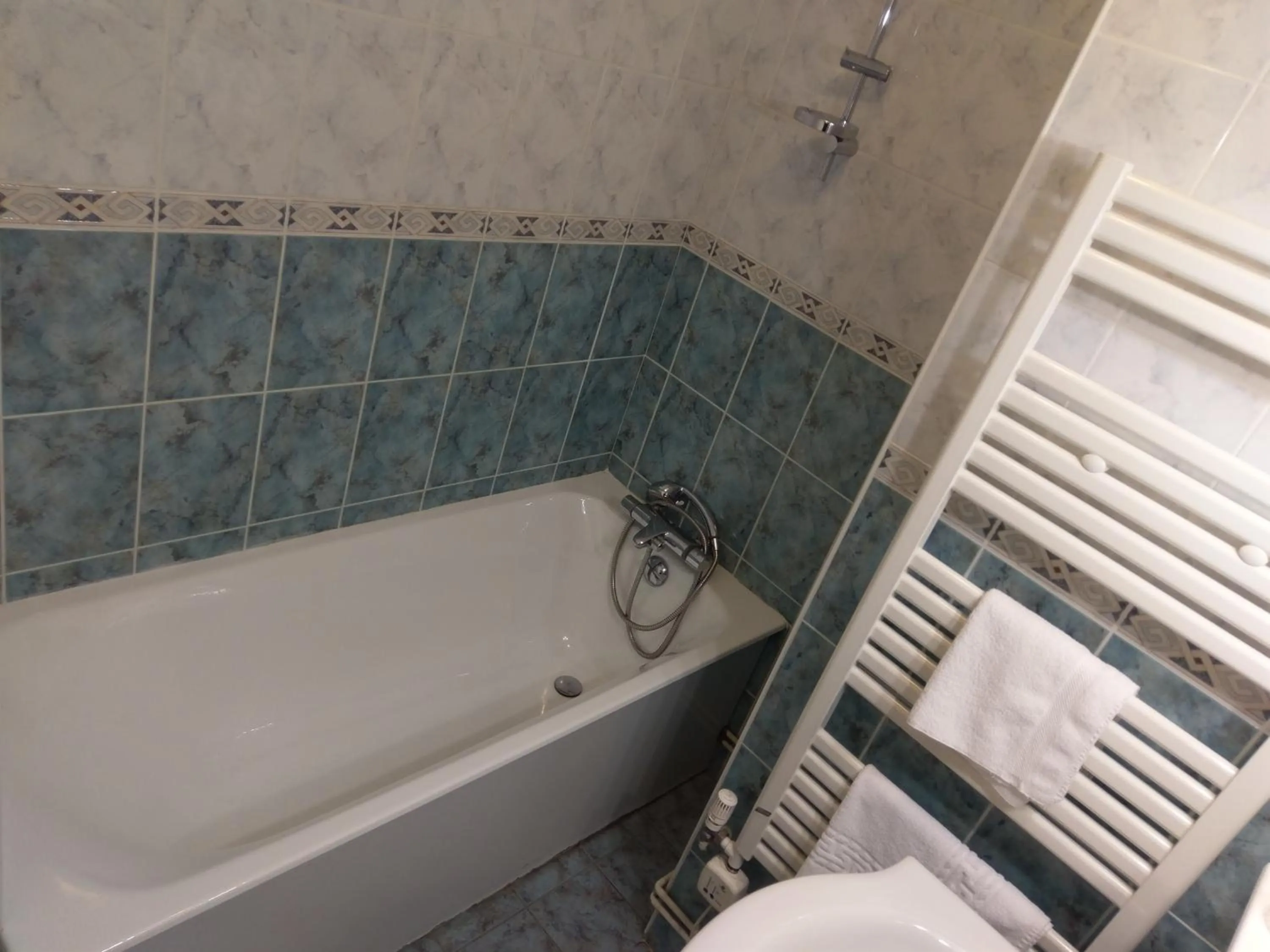 Logis de L'Europe Restaurant Le Cepage