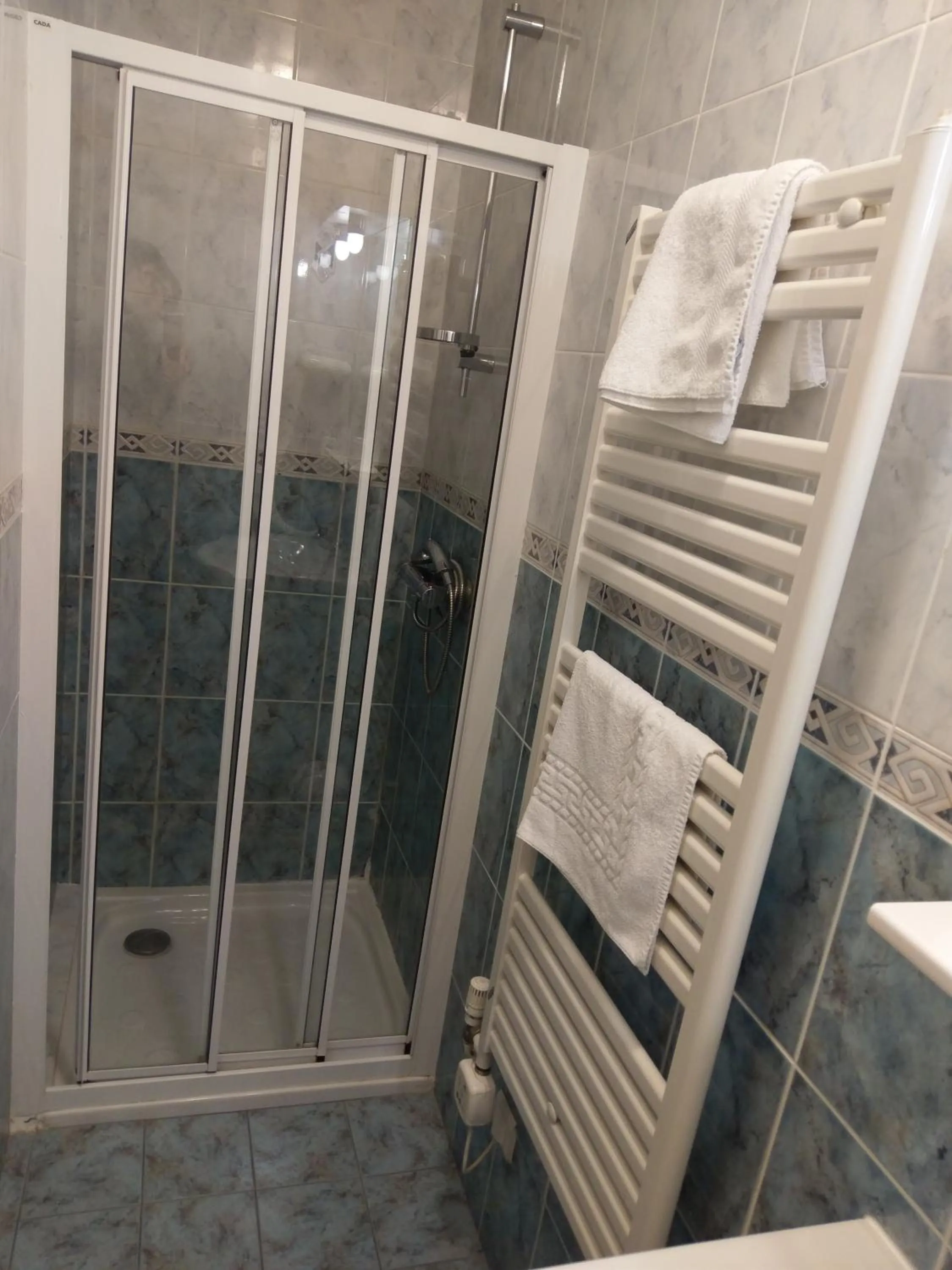 Logis de L'Europe Restaurant Le Cepage