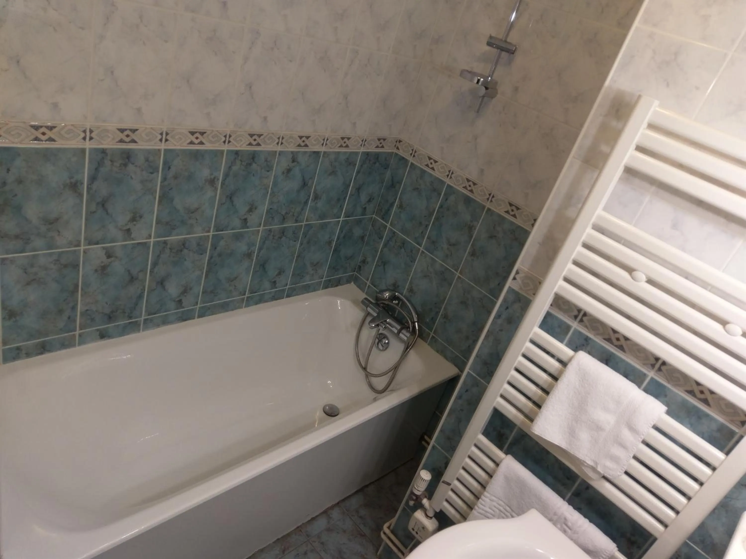 Logis de L'Europe Restaurant Le Cepage