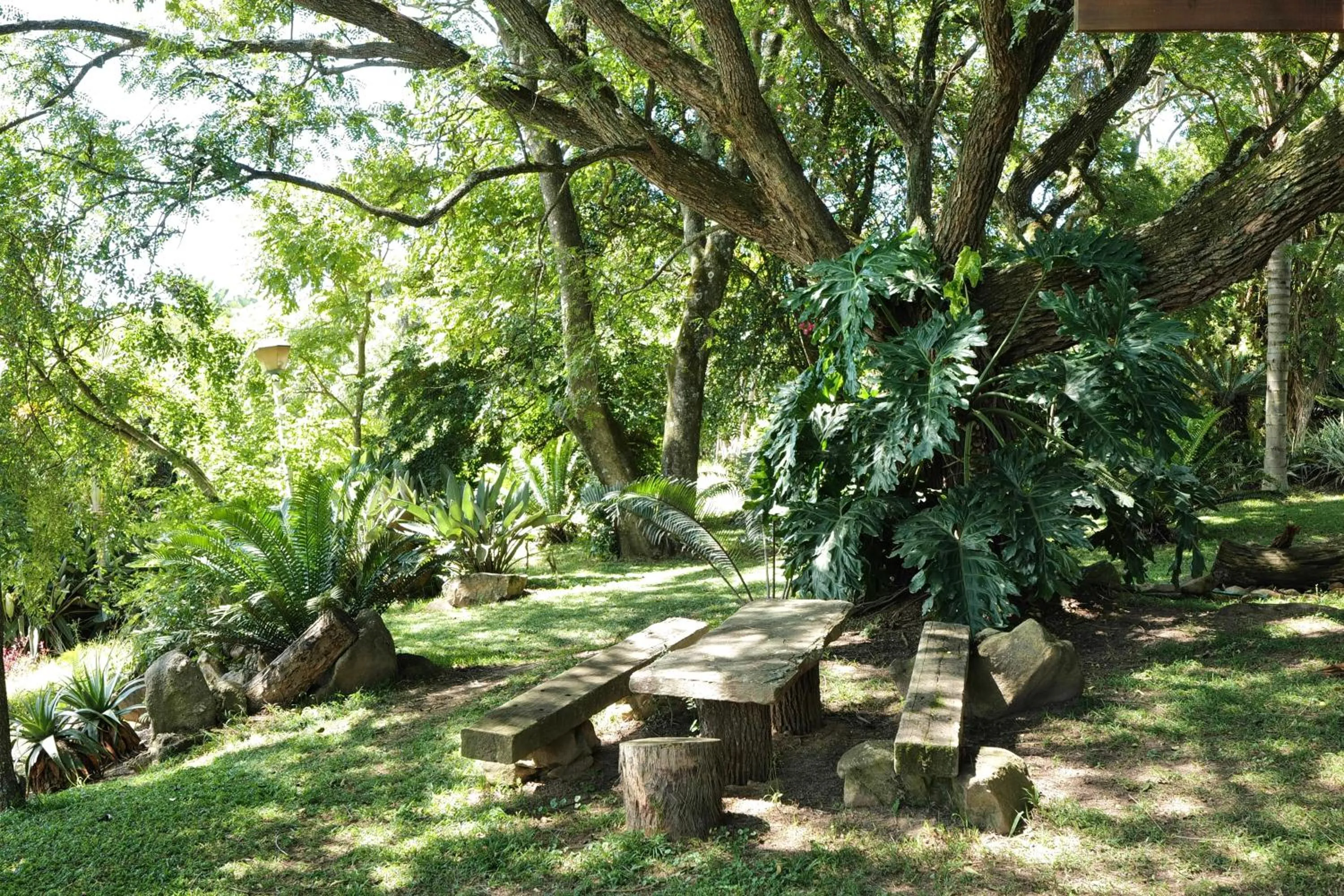 Garden view in Leopards Ledge