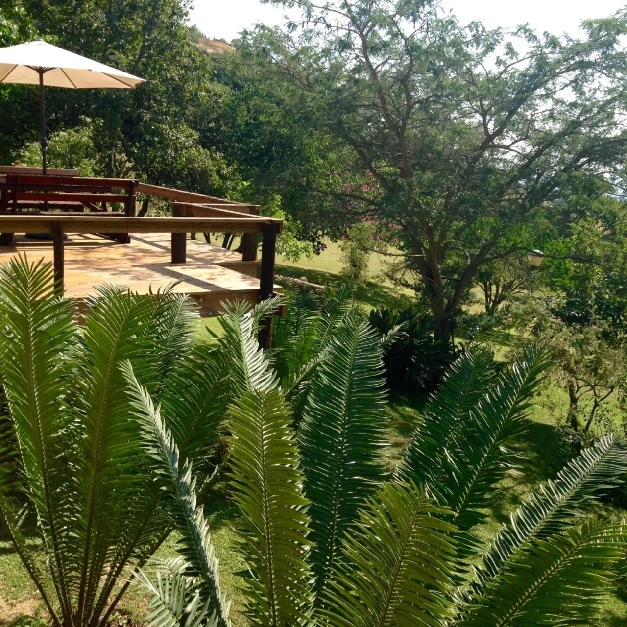 Garden in Leopards Ledge