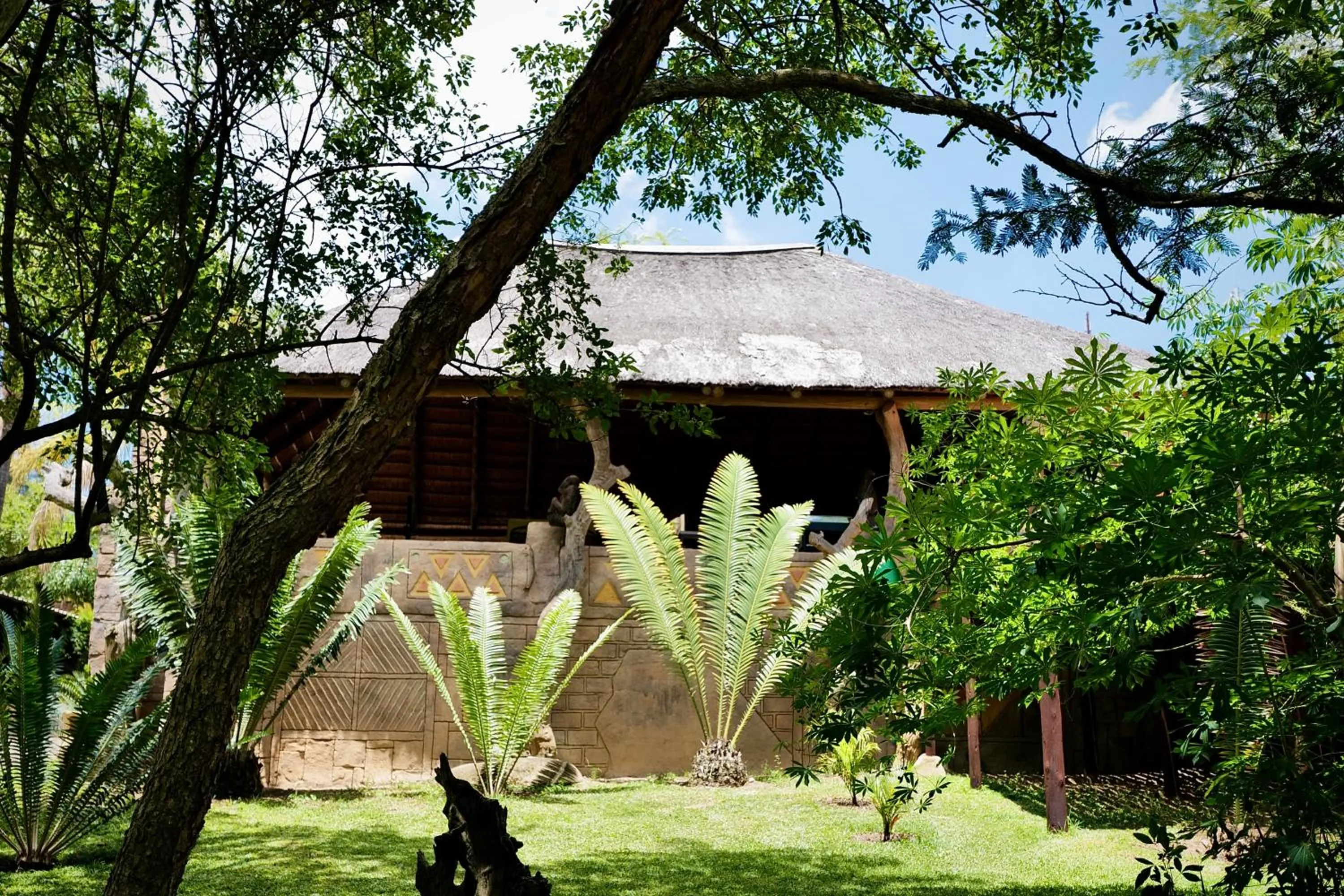 Property building in Leopards Ledge