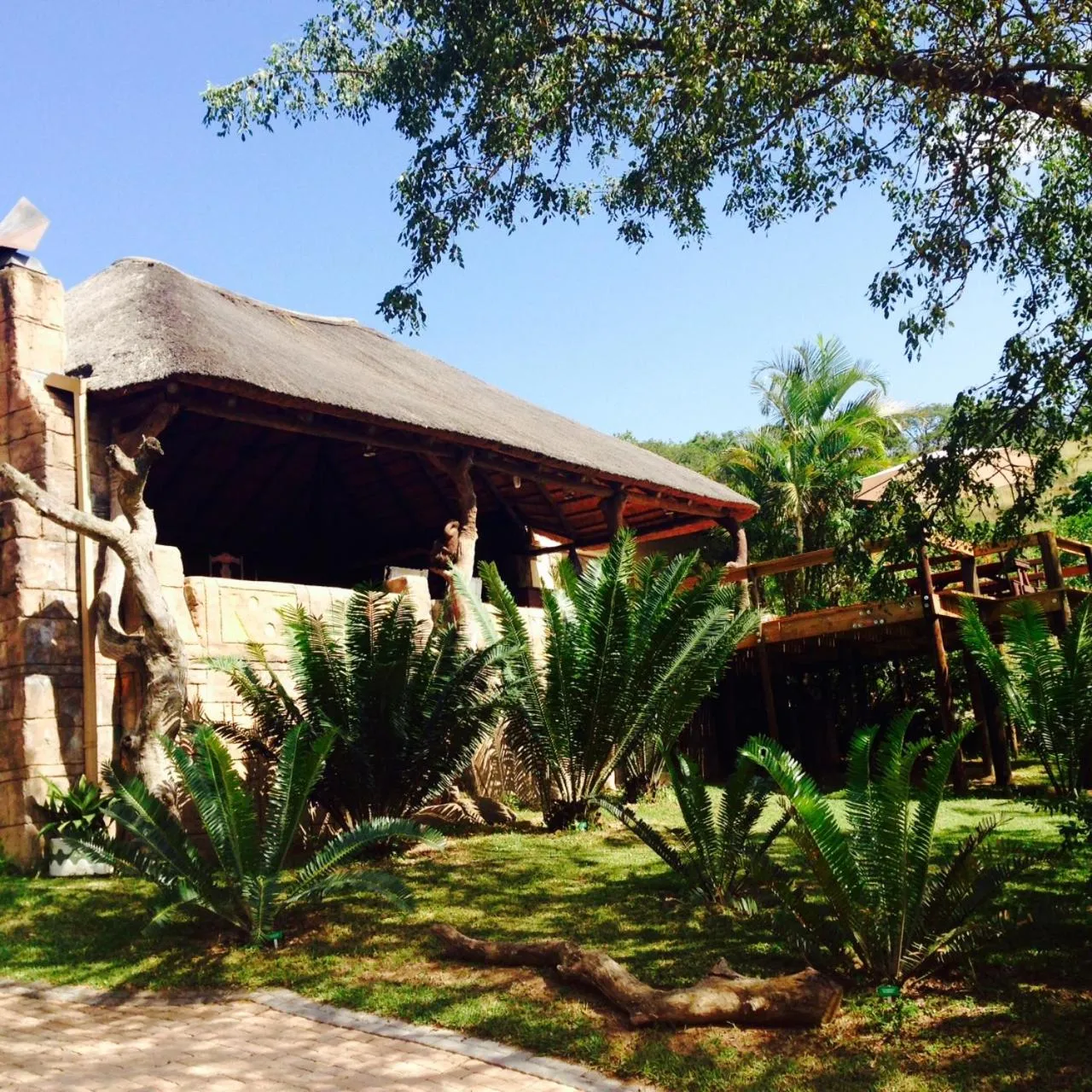 Natural landscape in Leopards Ledge