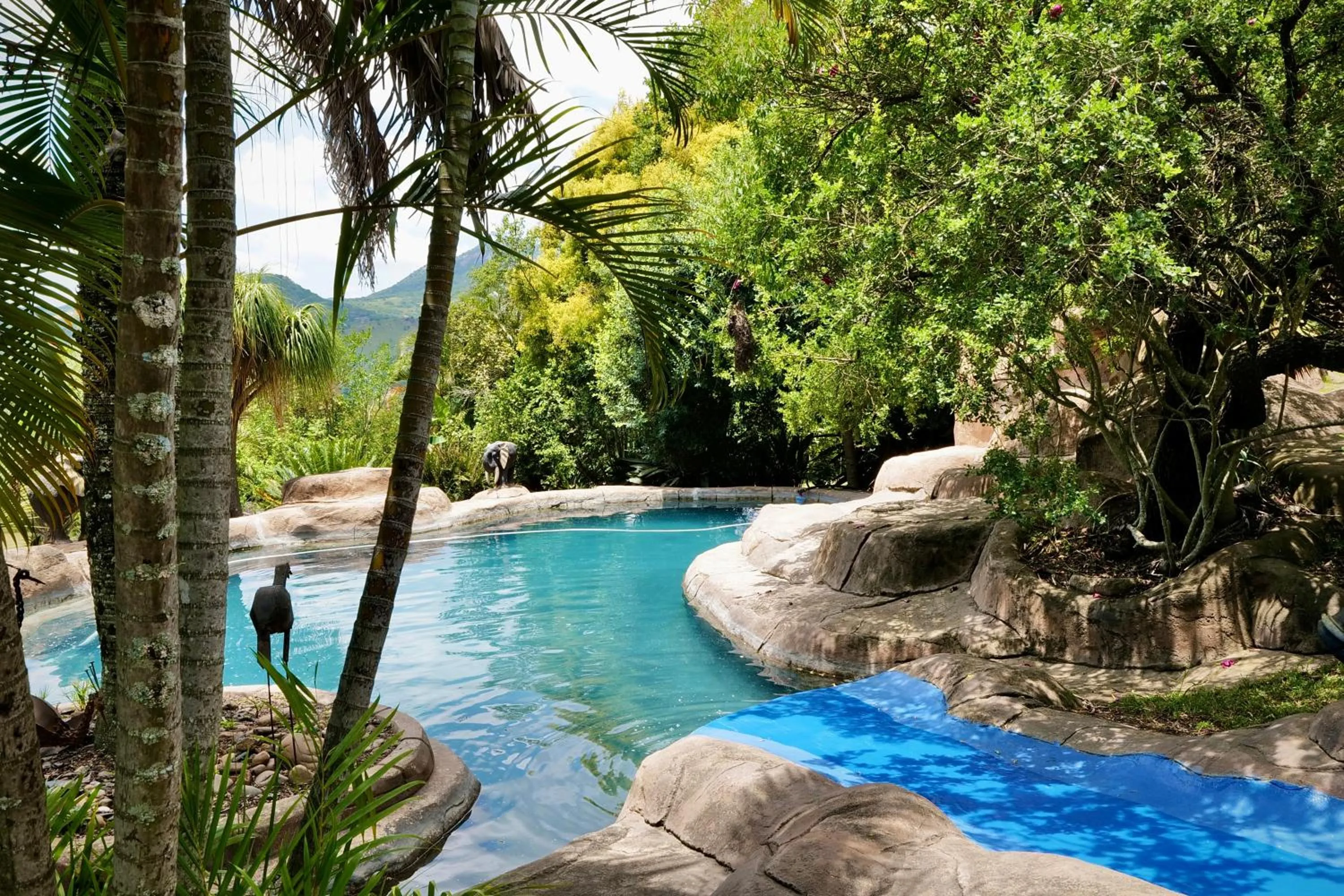 Swimming pool in Leopards Ledge