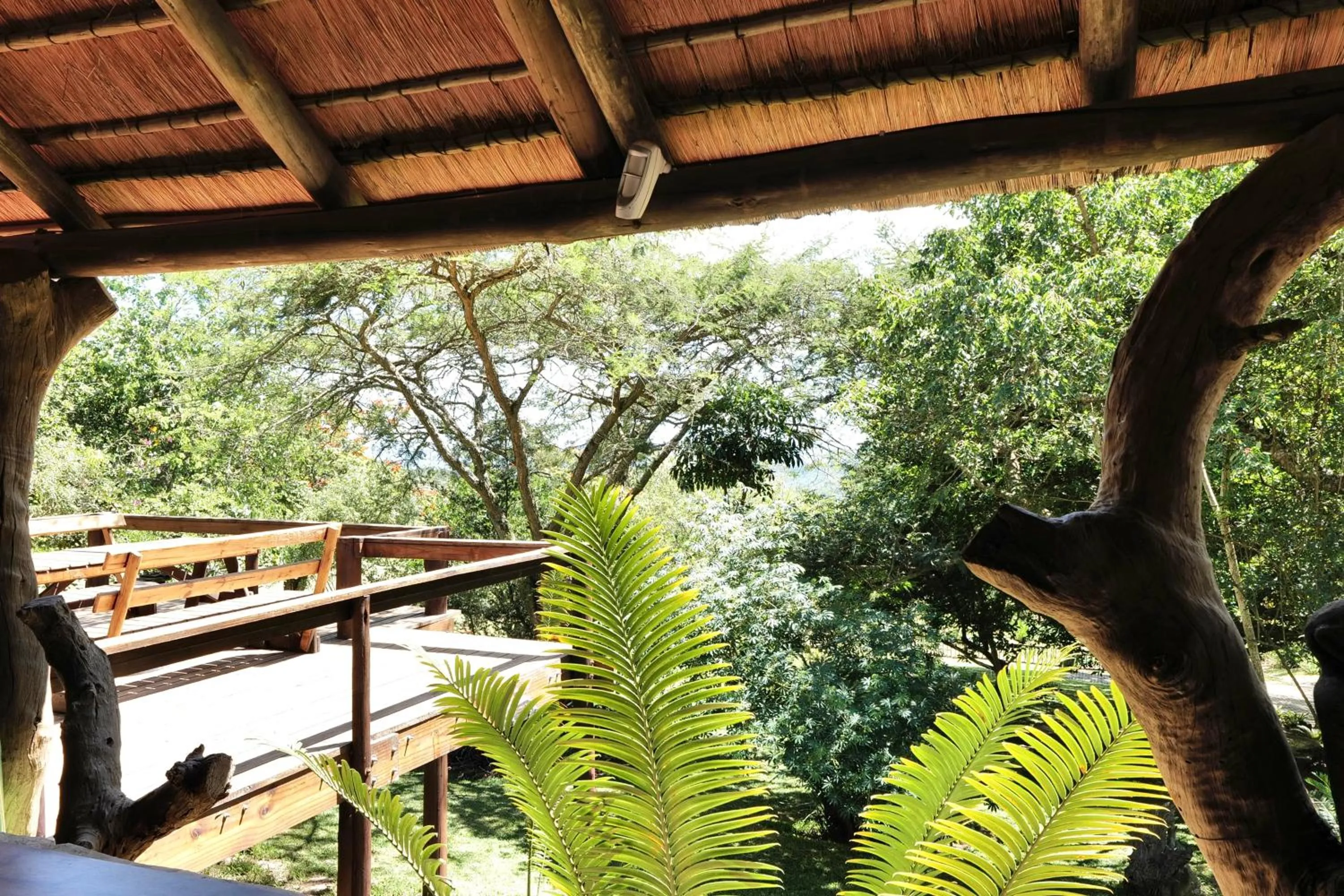 Property building in Leopards Ledge