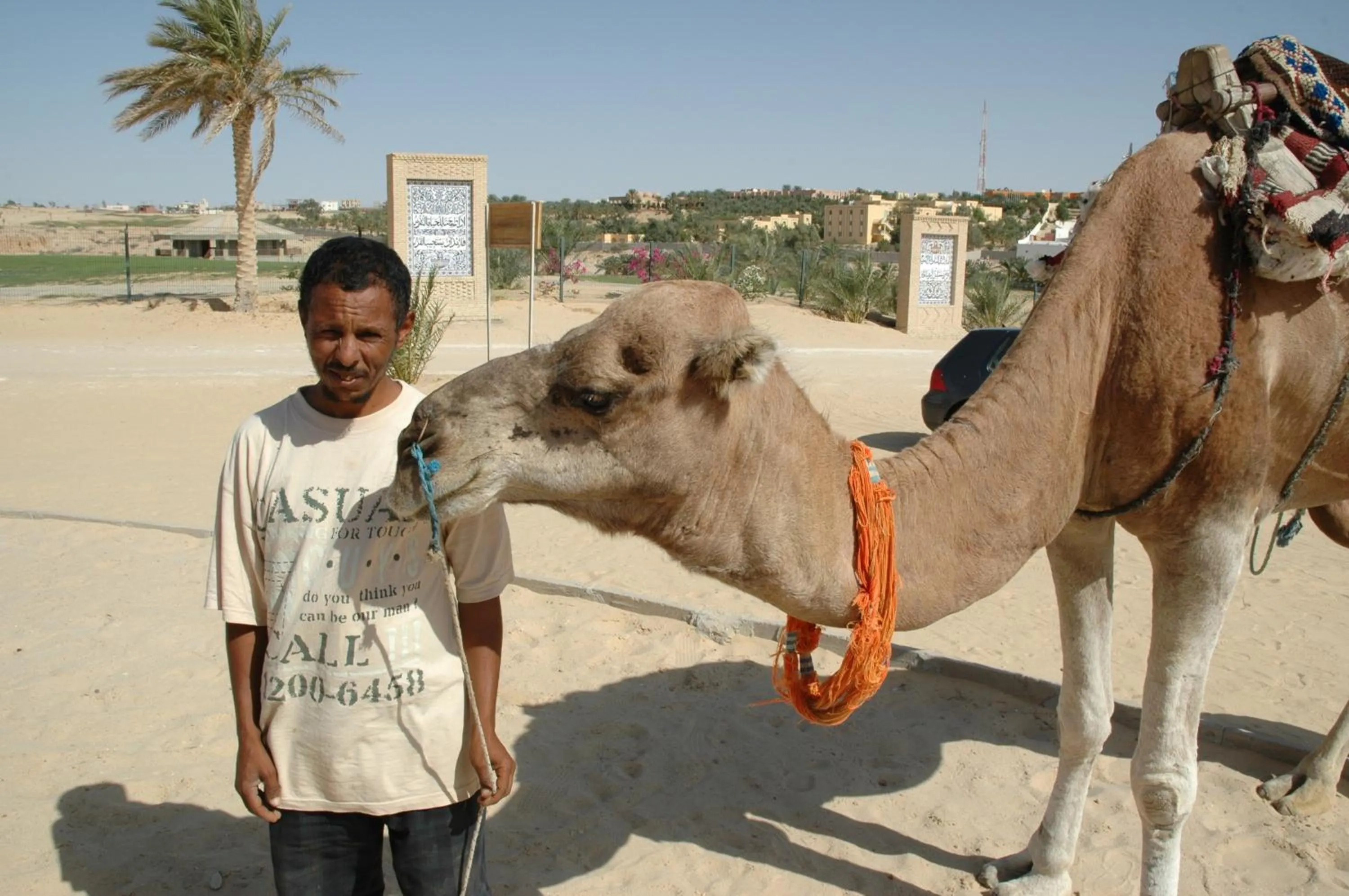 Activities in El Mouradi Tozeur