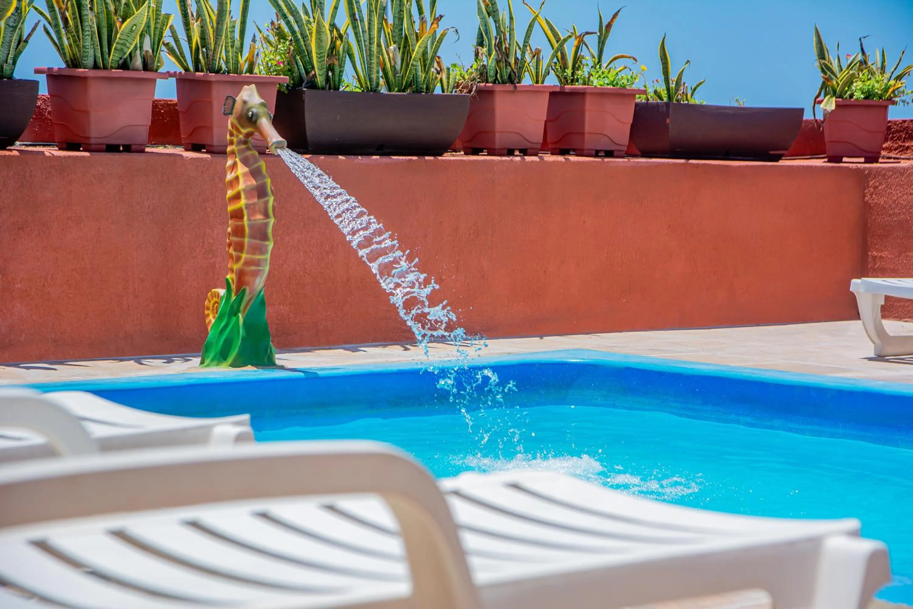 Swimming pool in Brisa do Mar Beach Hotel