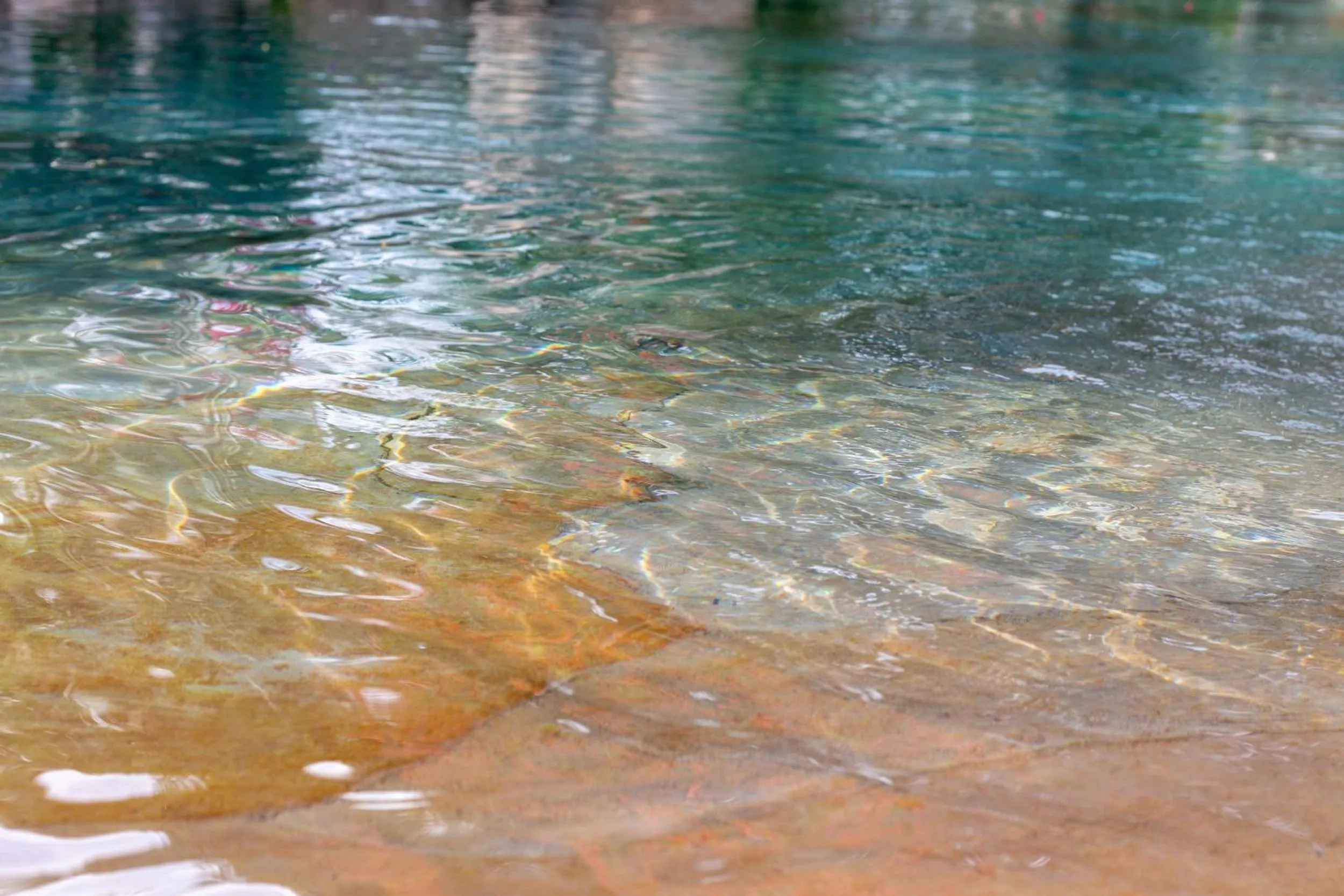 Swimming pool in Latica Lodge