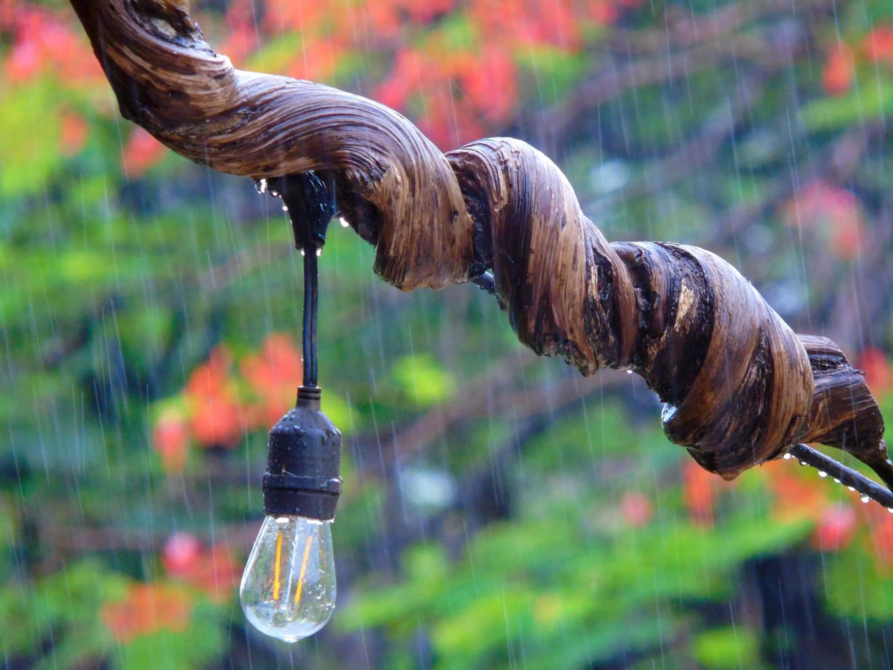 Decorative detail in Latica Lodge