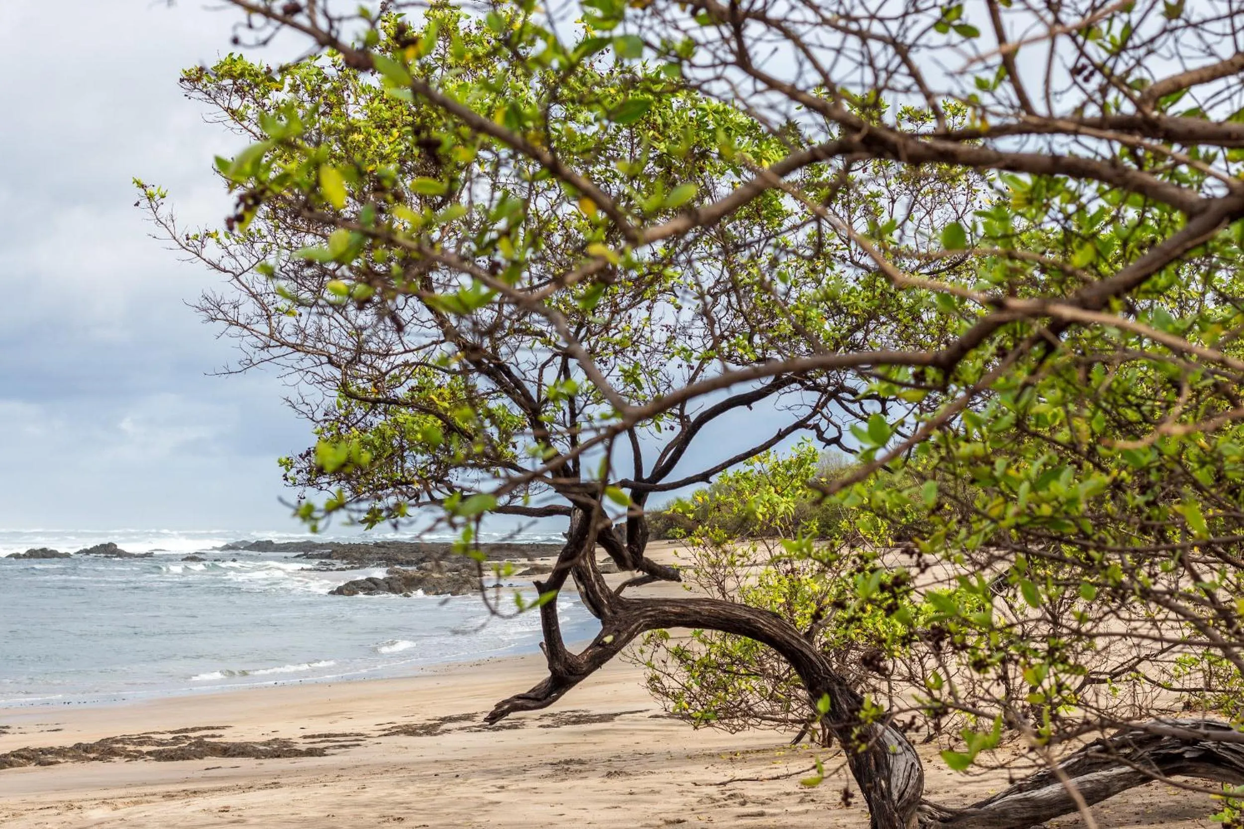 Beach in Latica Lodge