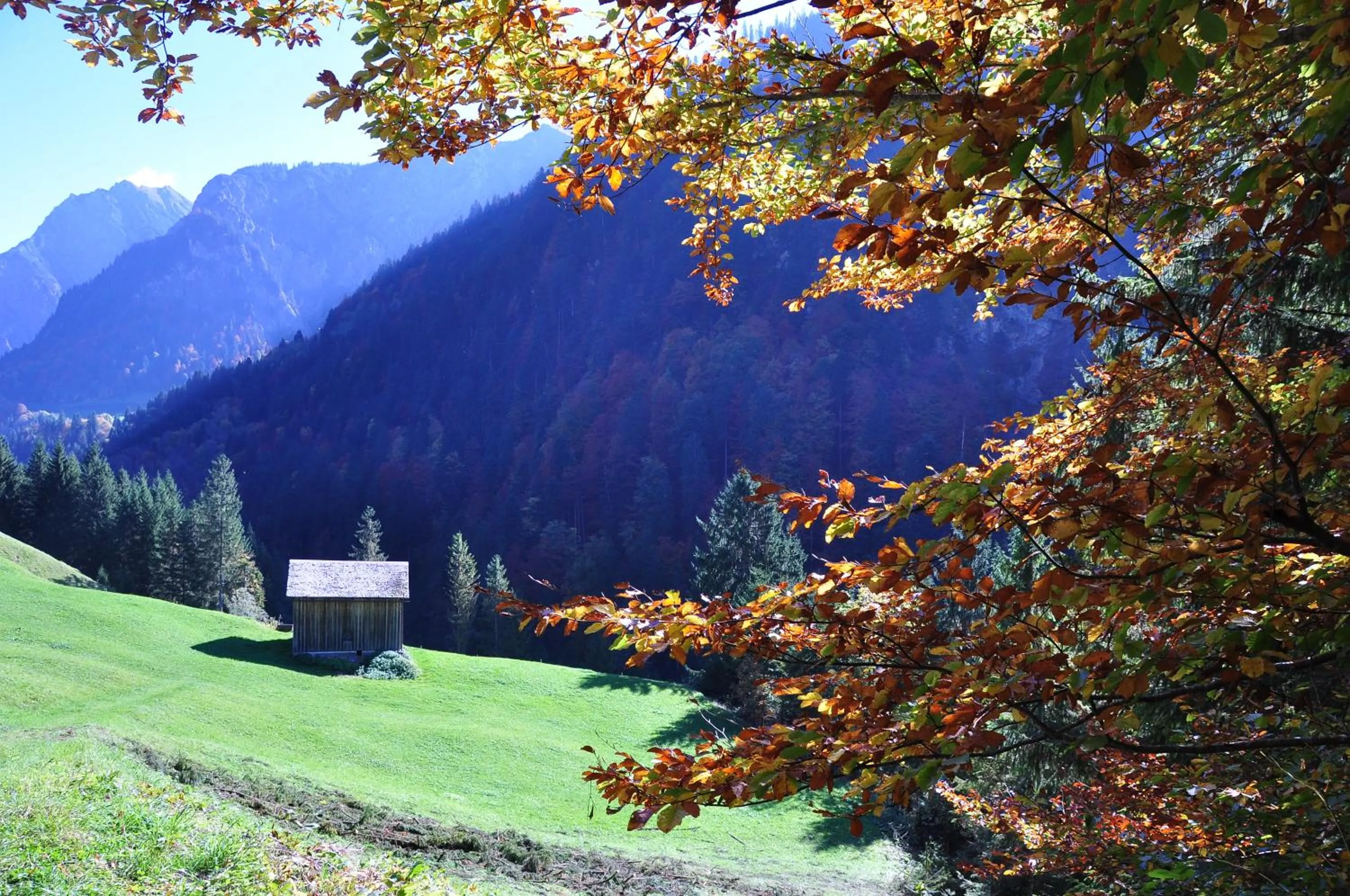 Natural landscape in Hotel Gasthof KREUZ