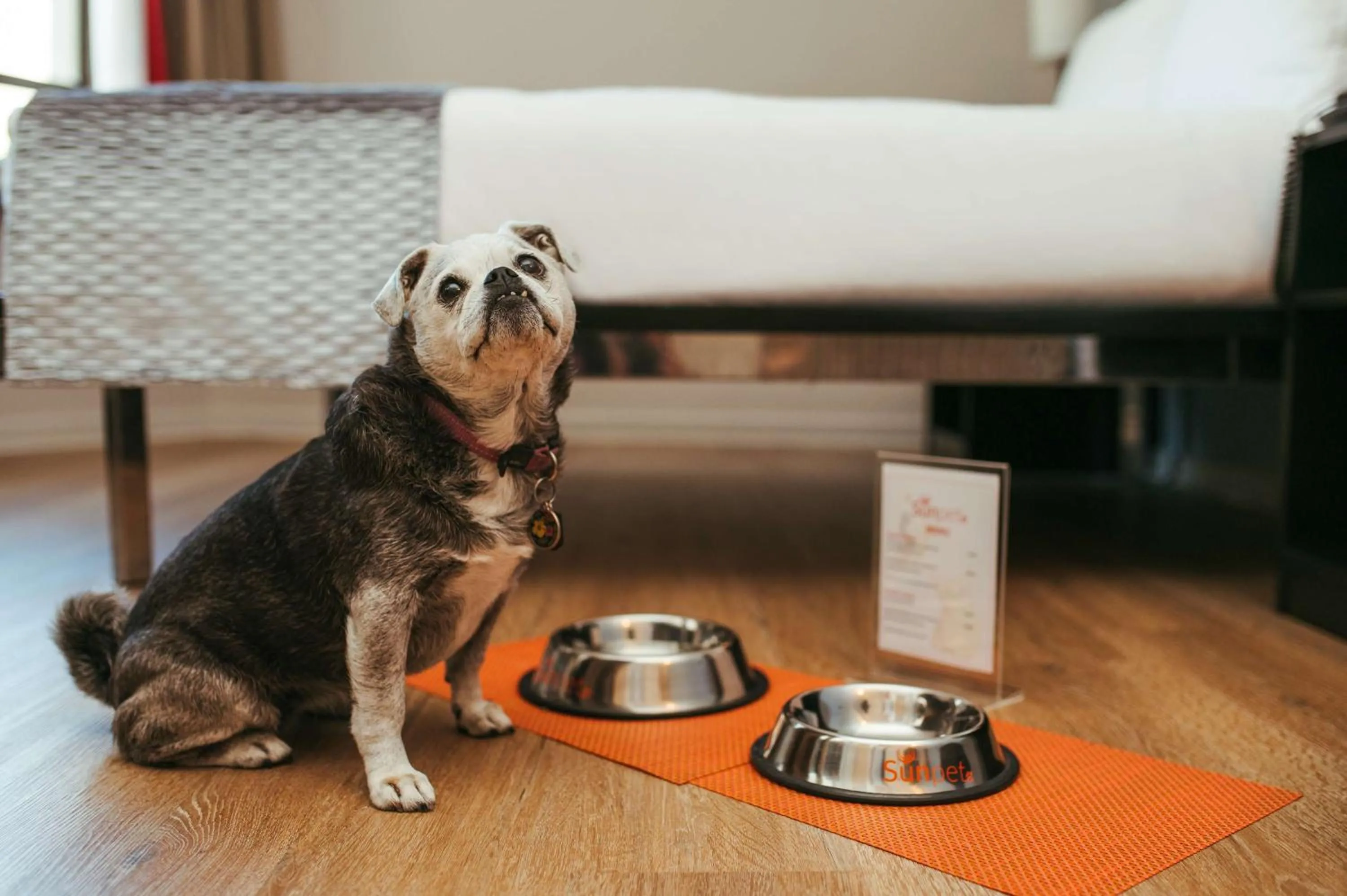 Other in SunSquare Cape Town Gardens