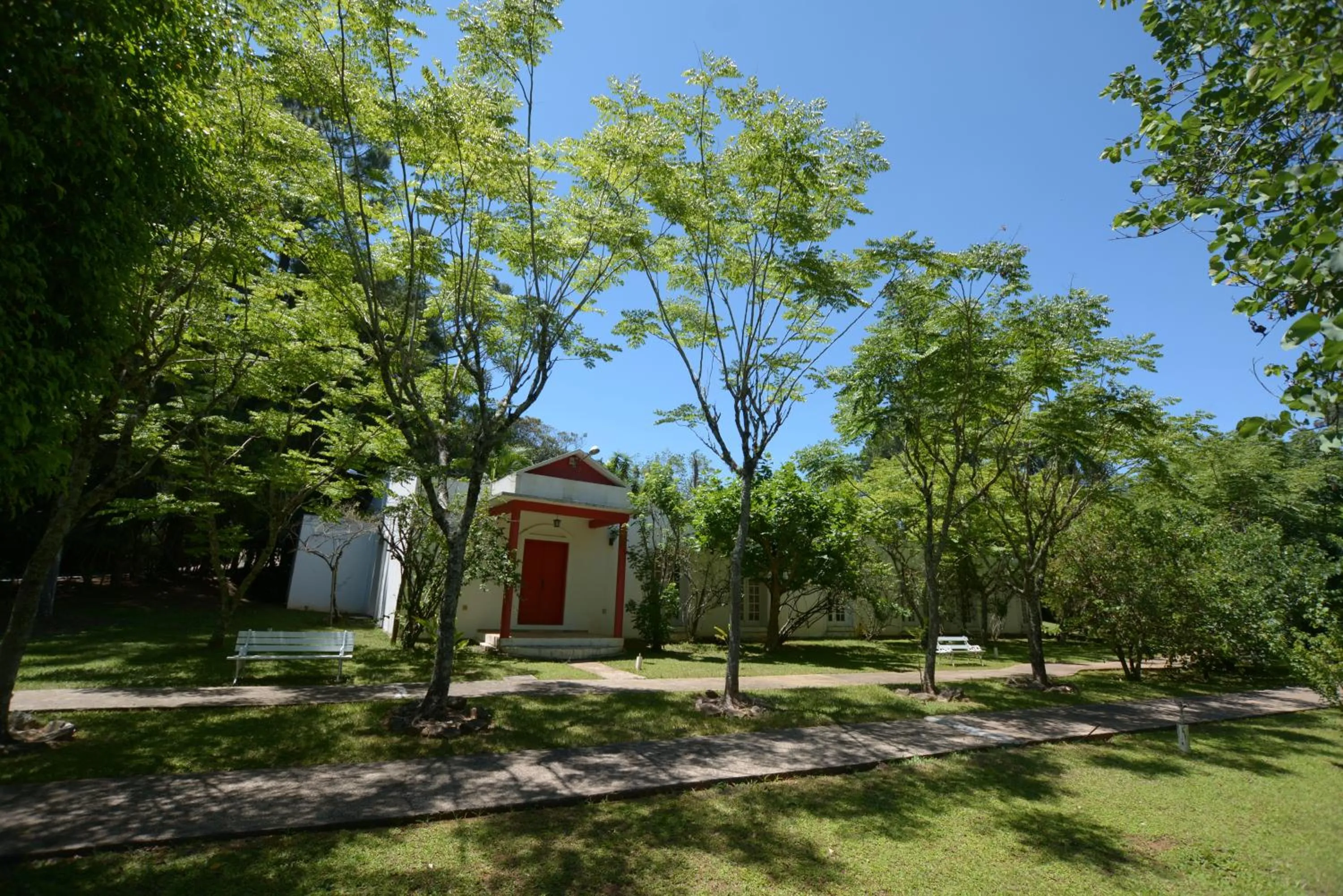 Garden in Biazi Paradise Hotel