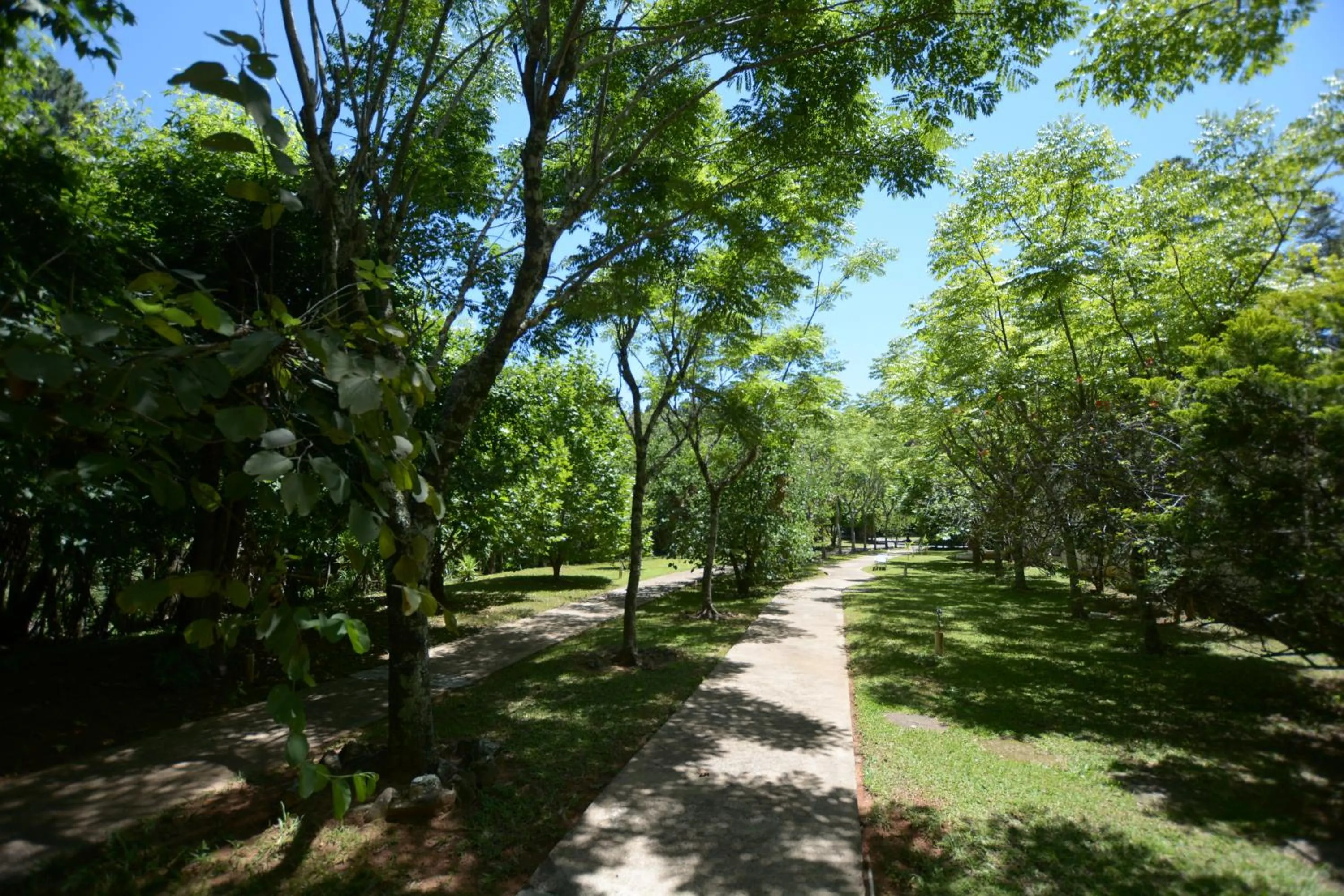 Garden in Biazi Paradise Hotel