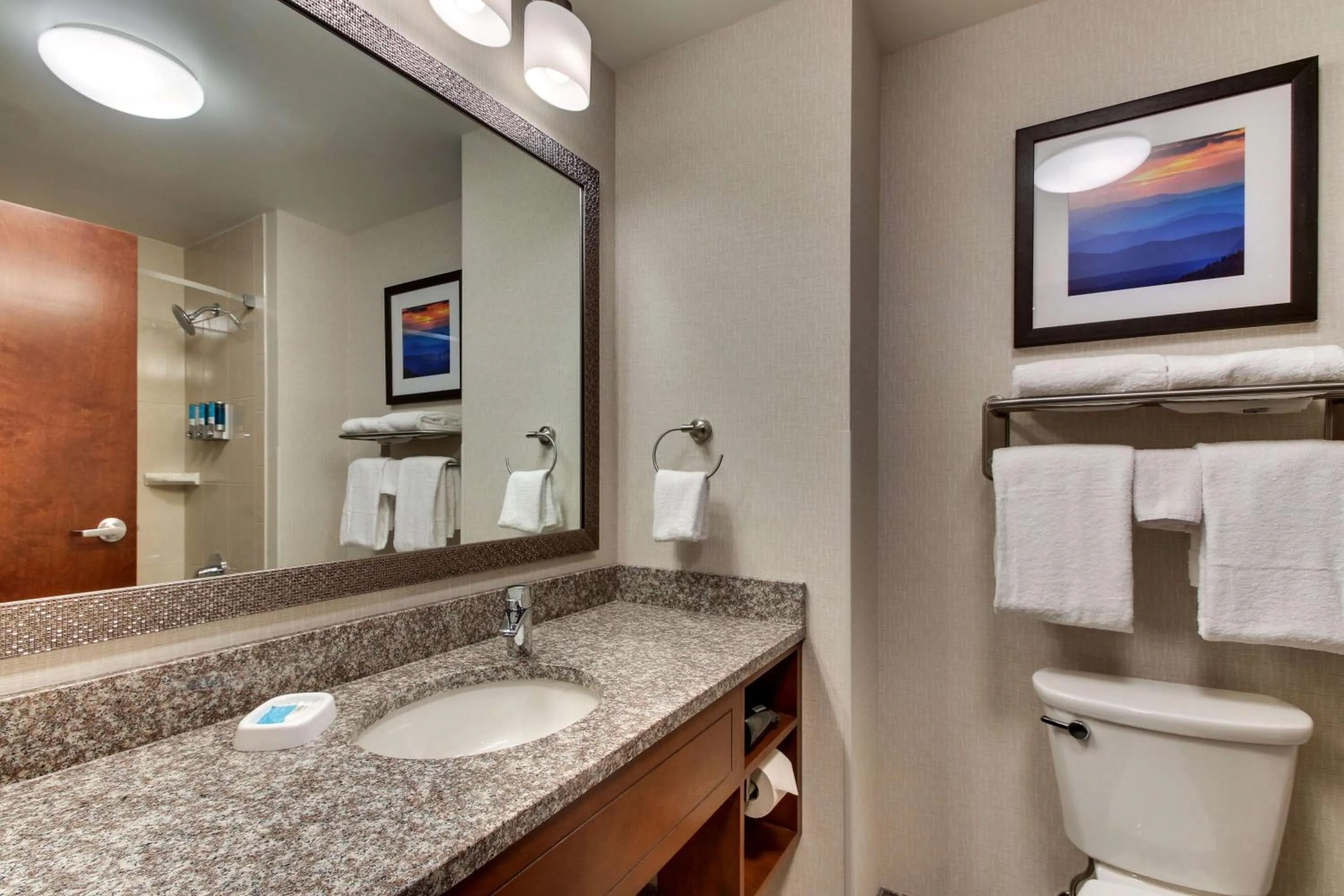 Bathroom in Drury Inn & Suites Knoxville West