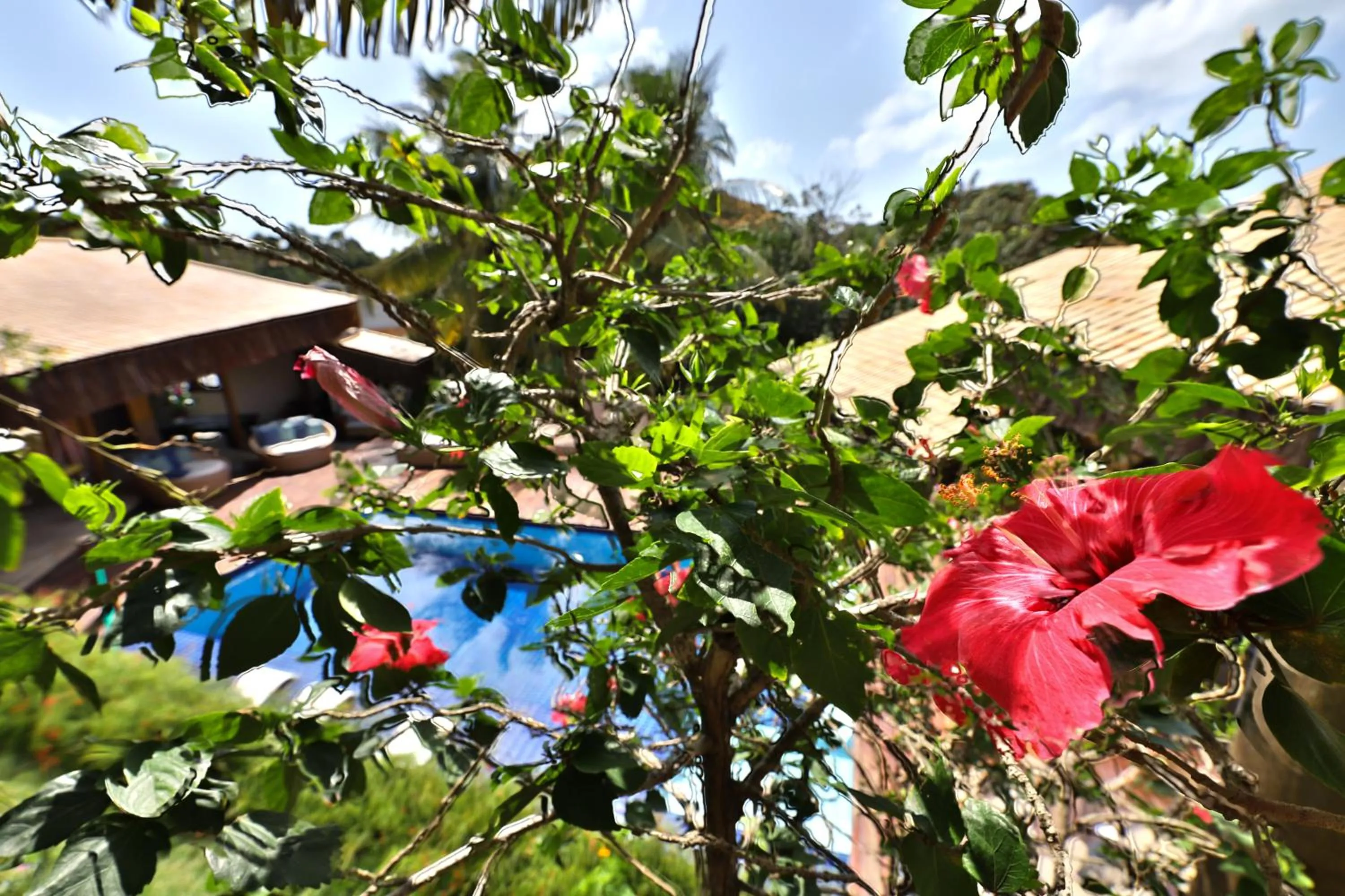Garden in Xamã Senses - Hotel Pousada