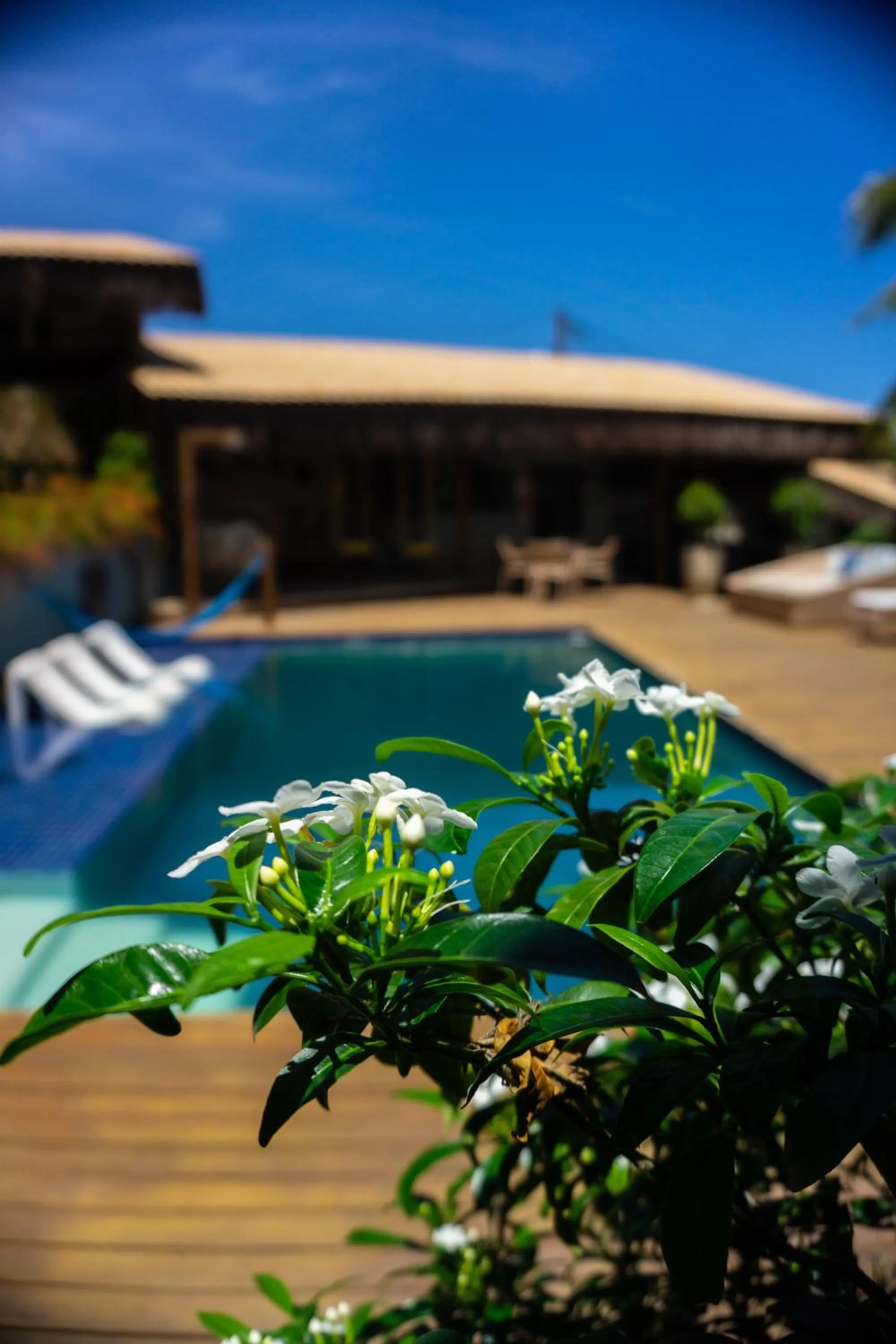Swimming pool in Xamã Senses - Hotel Pousada