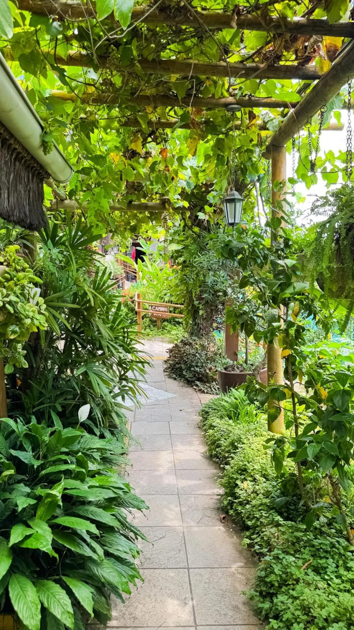 Garden in Xamã Senses - Hotel Pousada